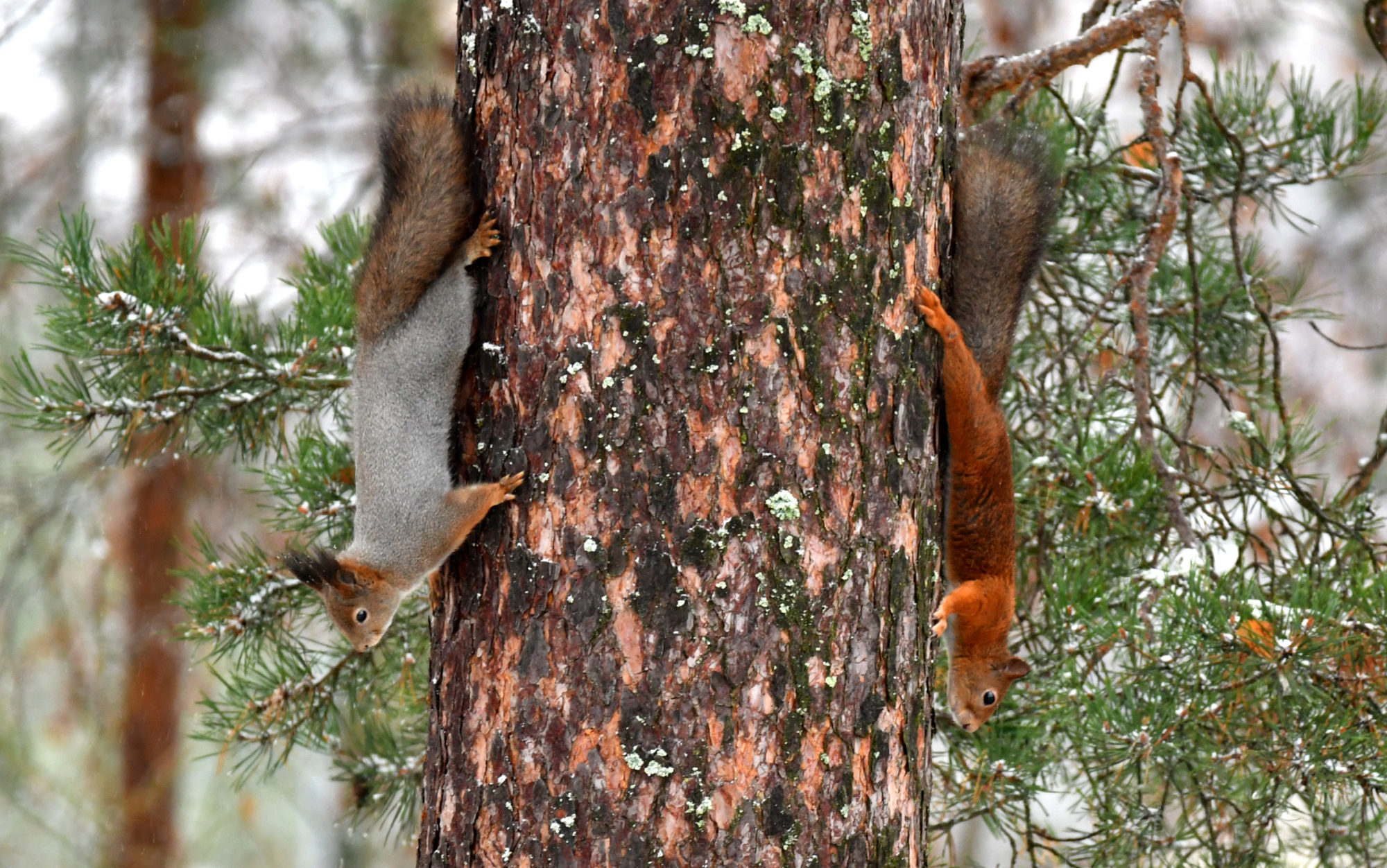 Valokuvaaja: Matti Manninen