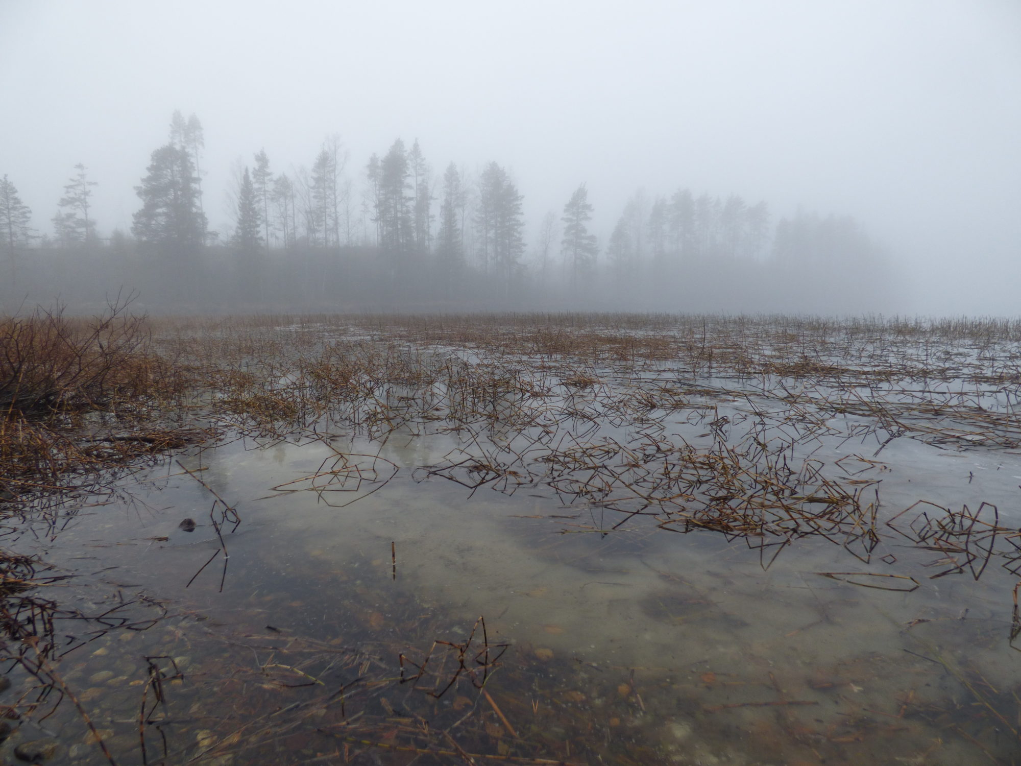 Valokuvaaja: Hannu Rissanen