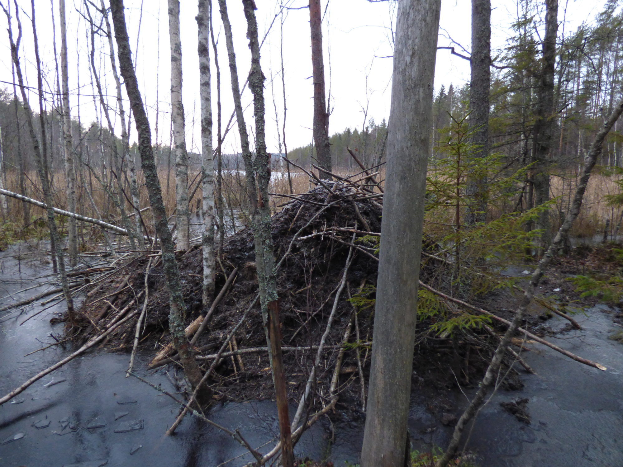 Valokuvaaja: Hannu Rissanen
