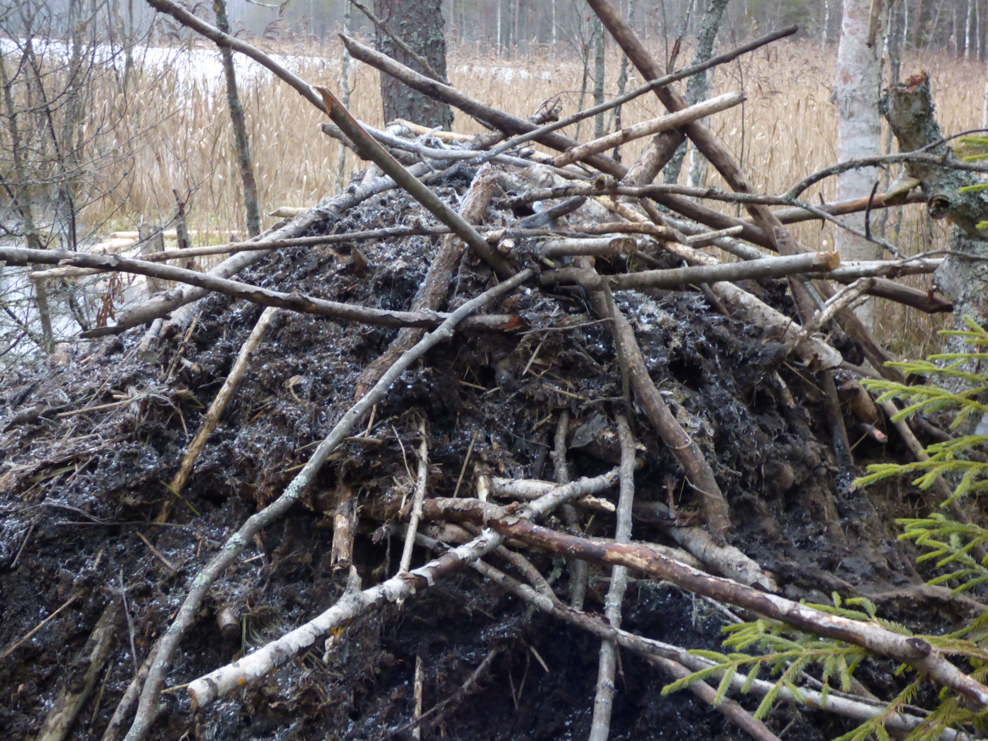 Valokuvaaja: Hannu Rissanen