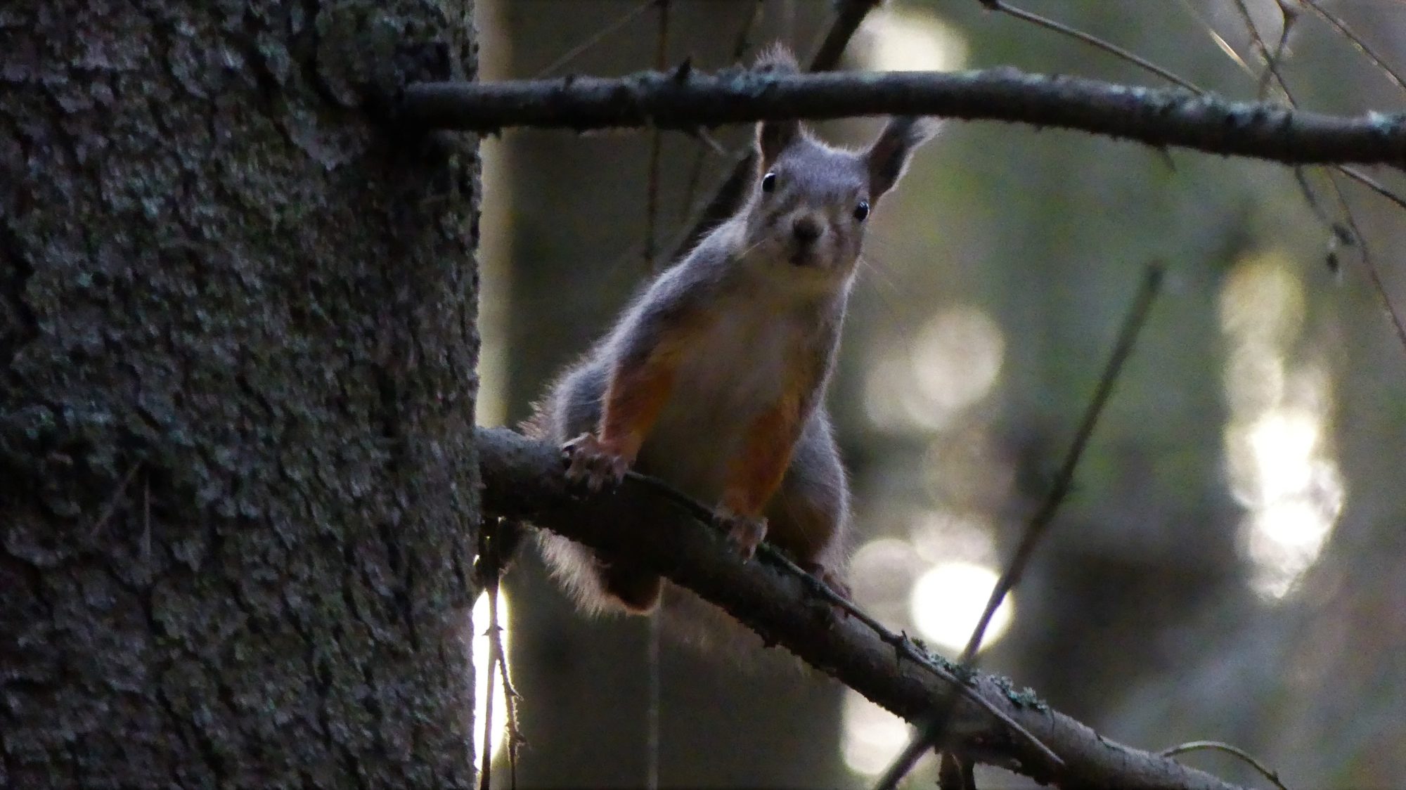 Valokuvaaja: Martti Valtonen