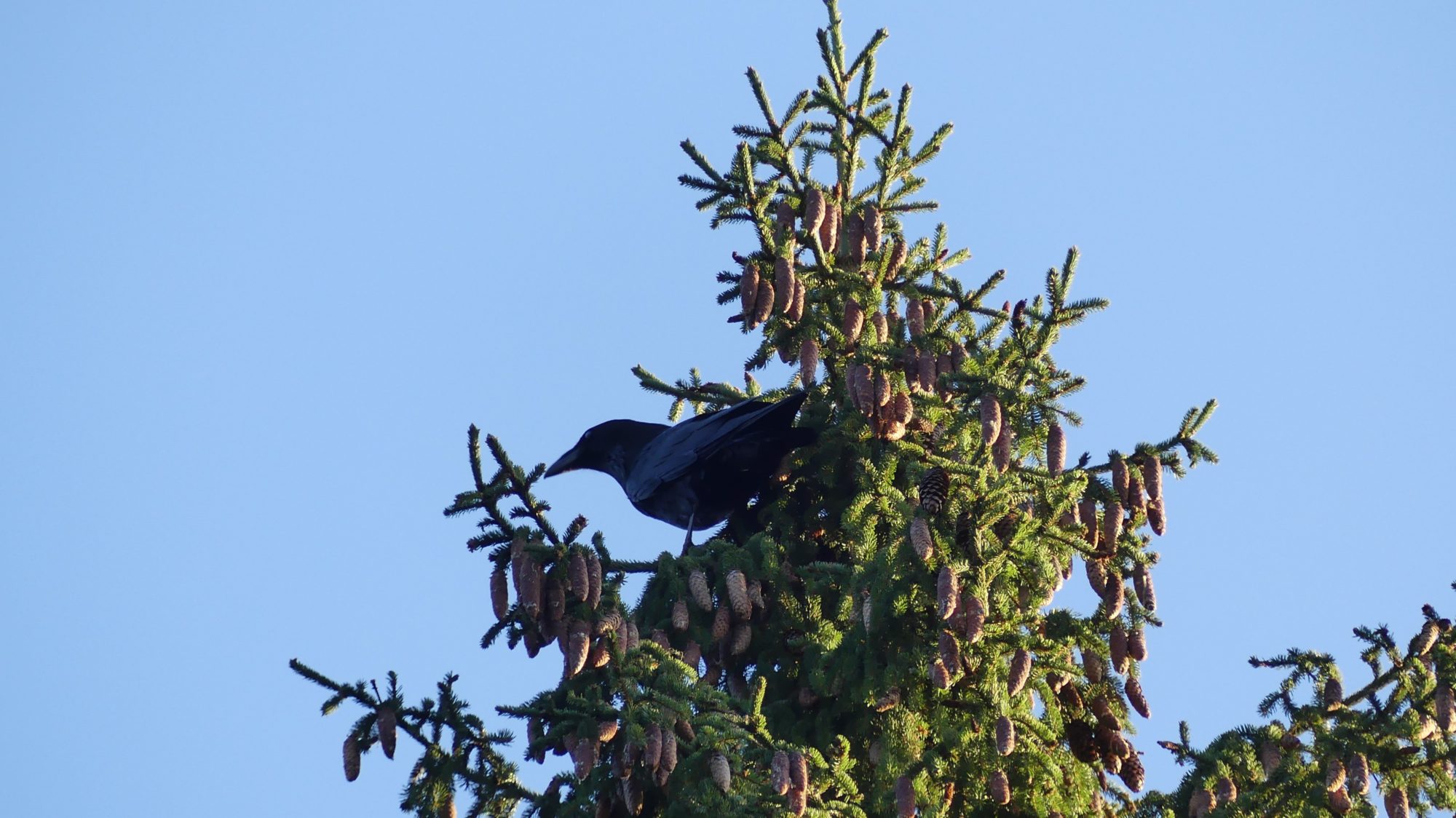 Valokuvaaja: Martti Valtonen
