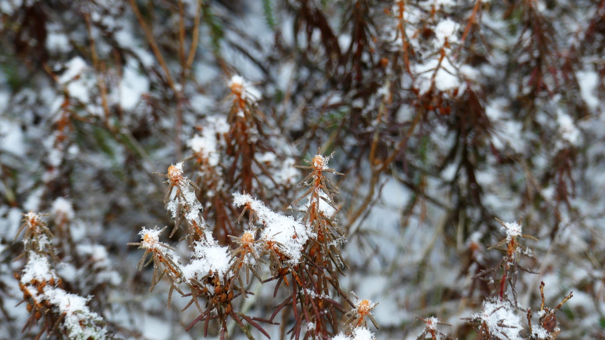 Valokuvaaja: Martti Valtonen Valokuvaaja: Martti Valtonen