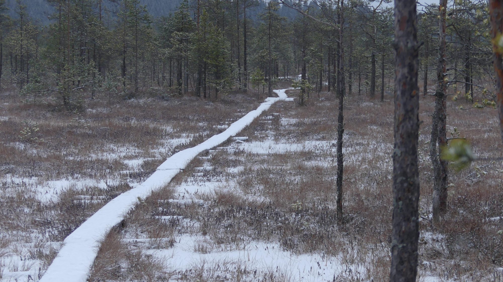 Valokuvaaja: Martti Valtonen