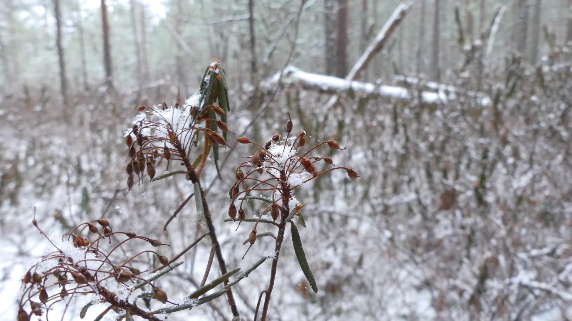 Valokuvaaja: Martti Valtonen