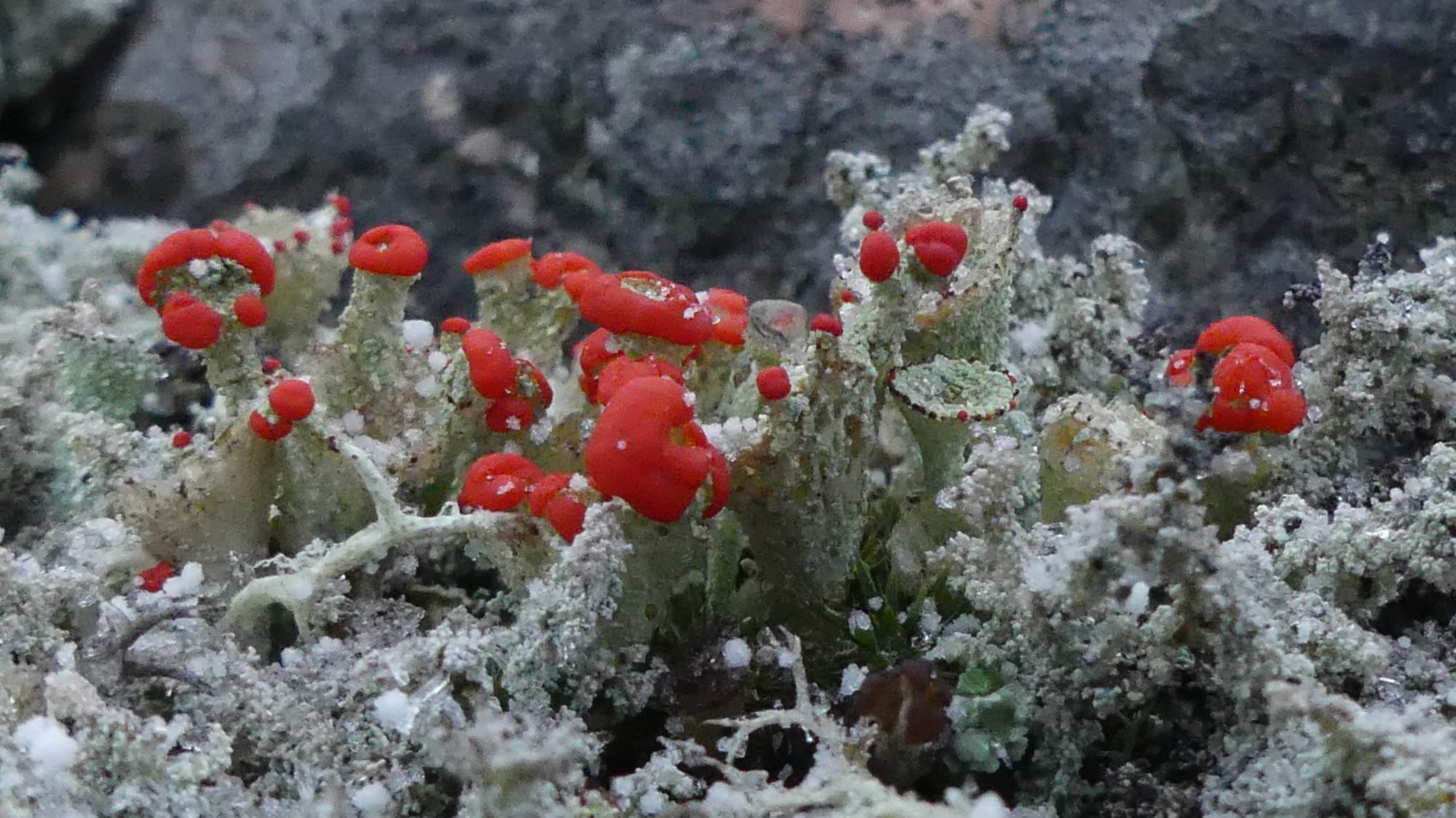 Valokuvaaja: Martti Valtonen Valokuvaaja: Martti Valtonen