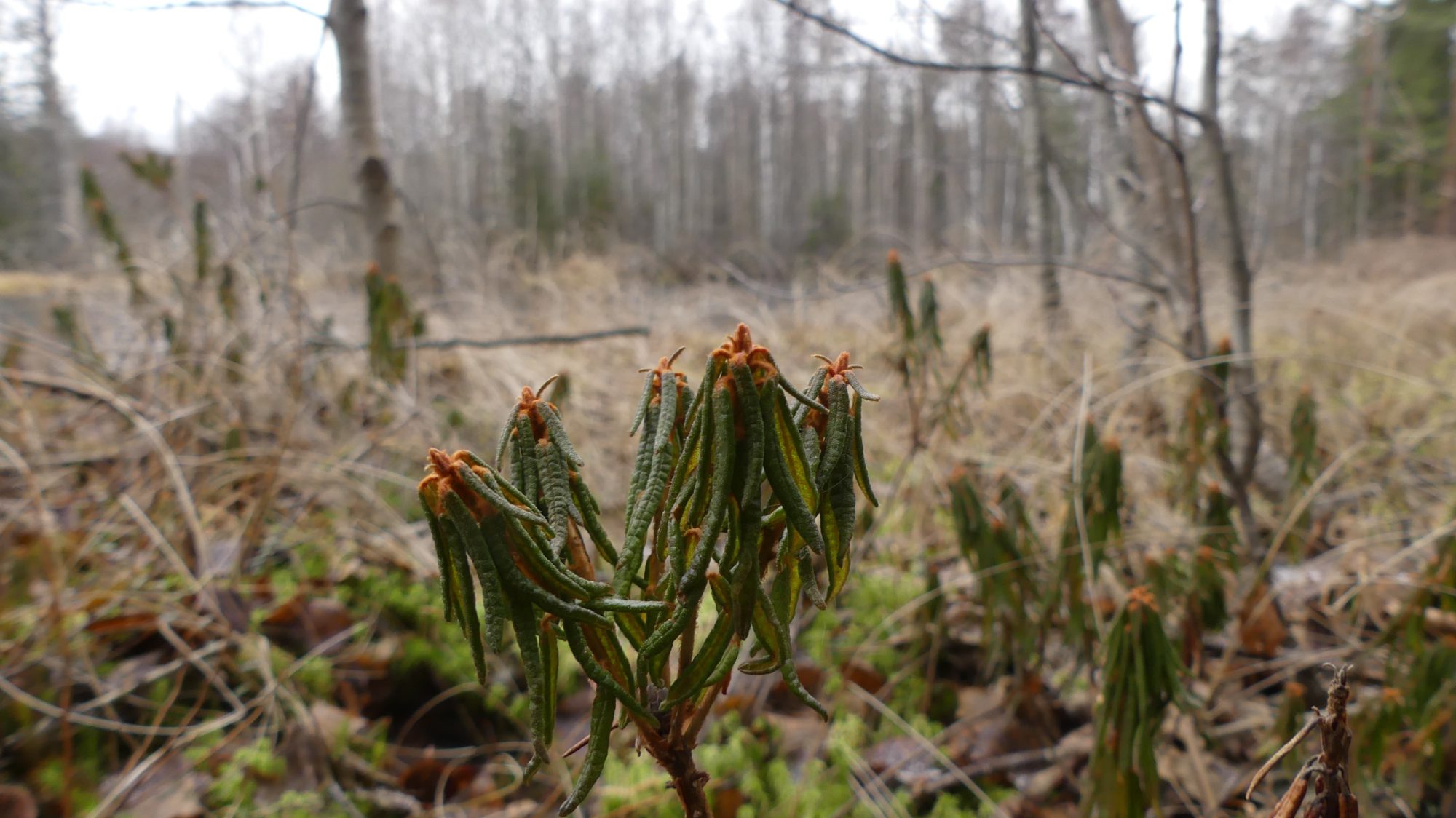 Valokuvaaja: Martti Valtonen