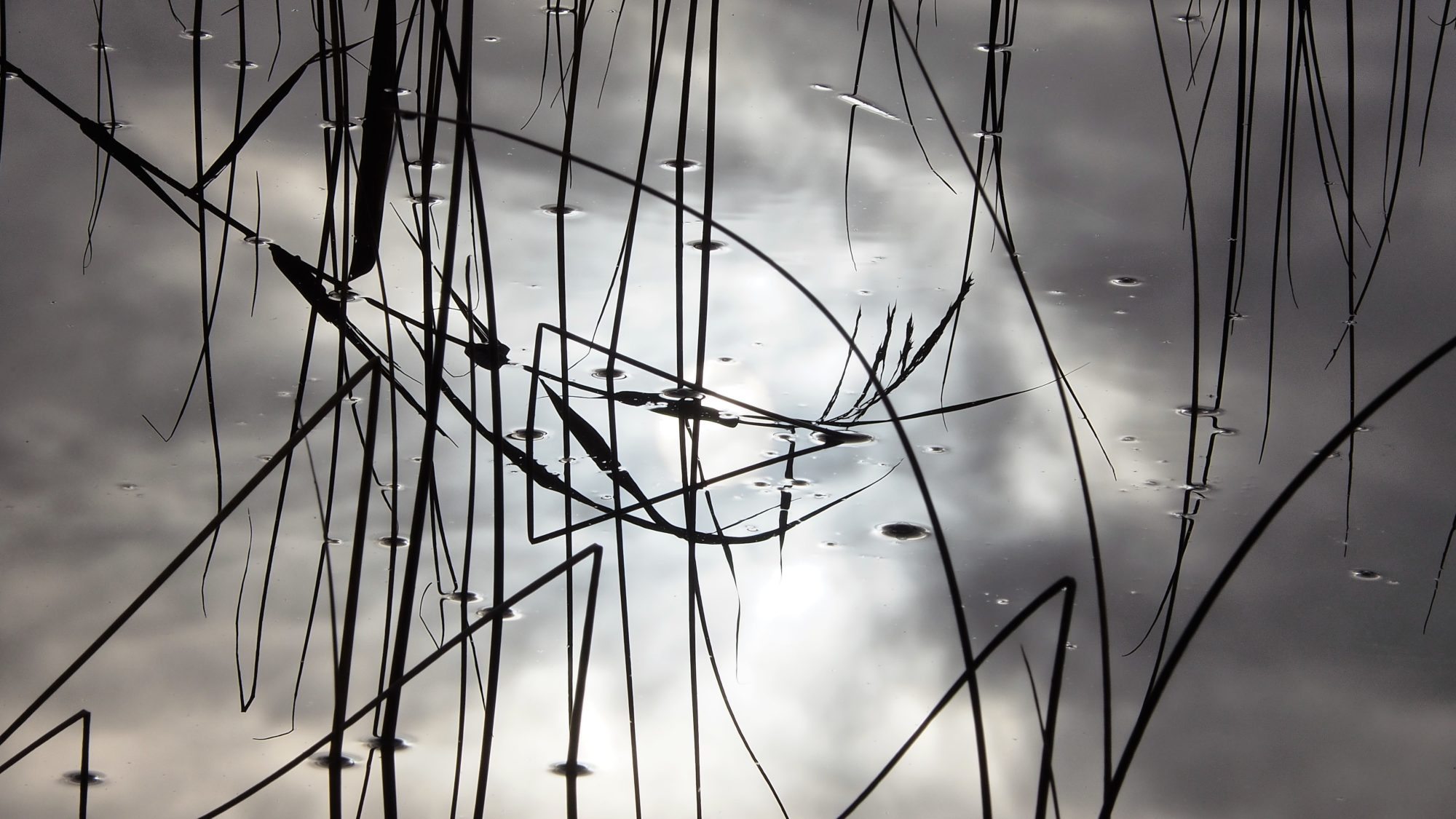 Valokuvaaja: Arja Valtonen