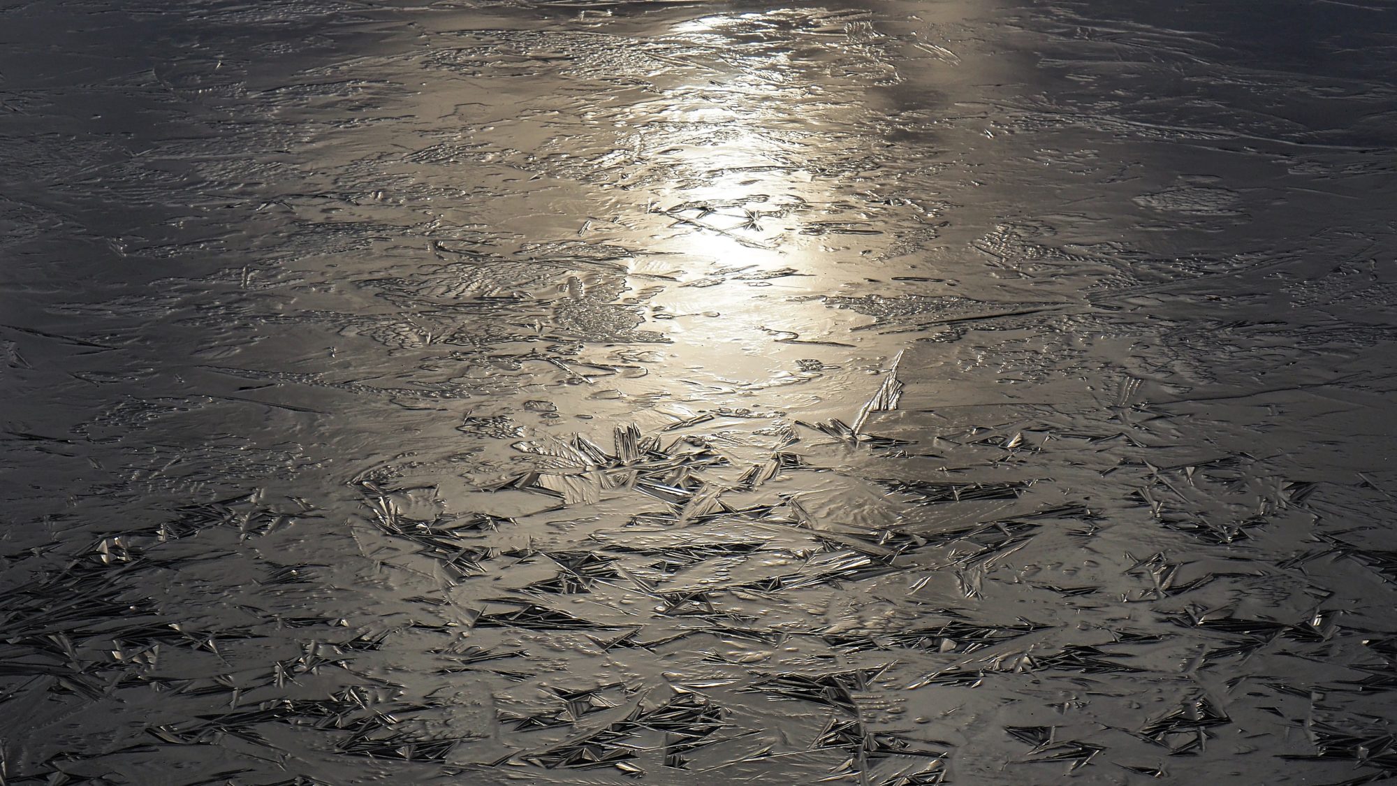 Valokuvaaja: Arja Valtonen Valokuvaaja: Arja Valtonen