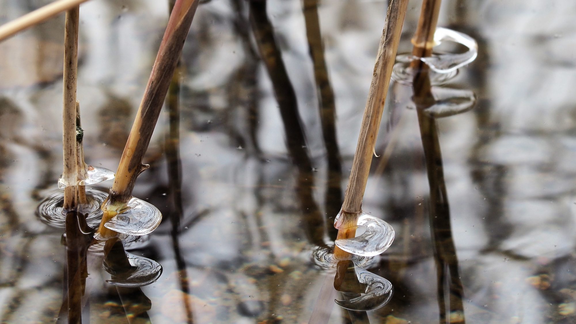 Valokuvaaja: Arja Valtonen