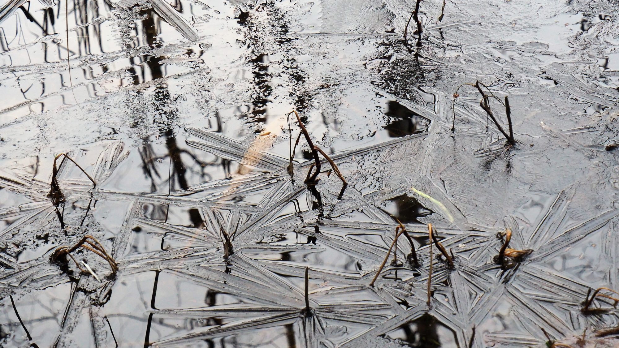 Valokuvaaja: Arja Valtonen