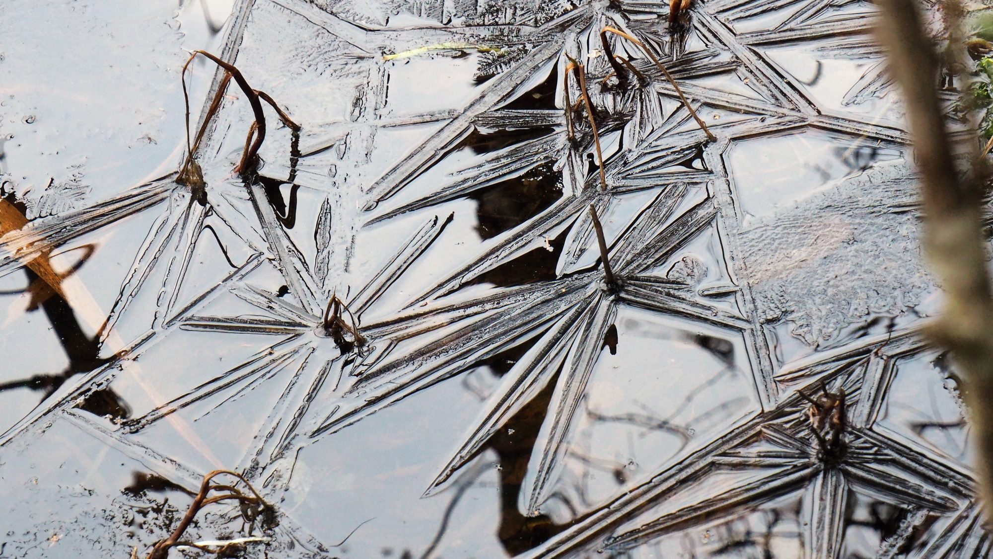 Valokuvaaja: Arja Valtonen