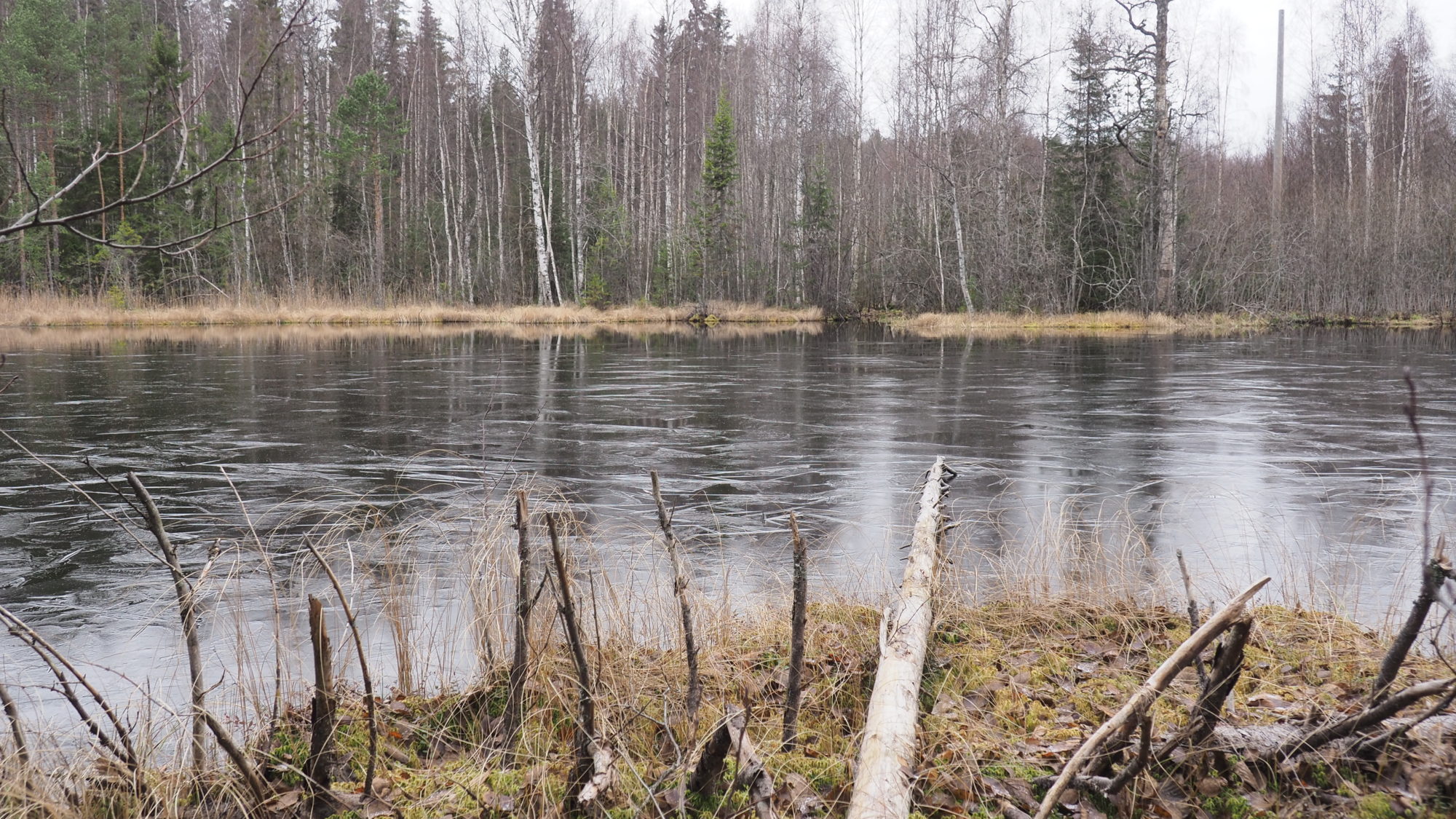 Valokuvaaja: Arja Valtonen