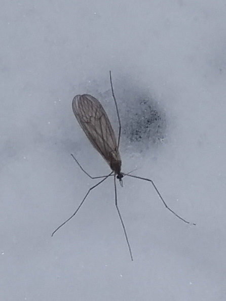 Valokuvaaja: Olli Karppijärvi