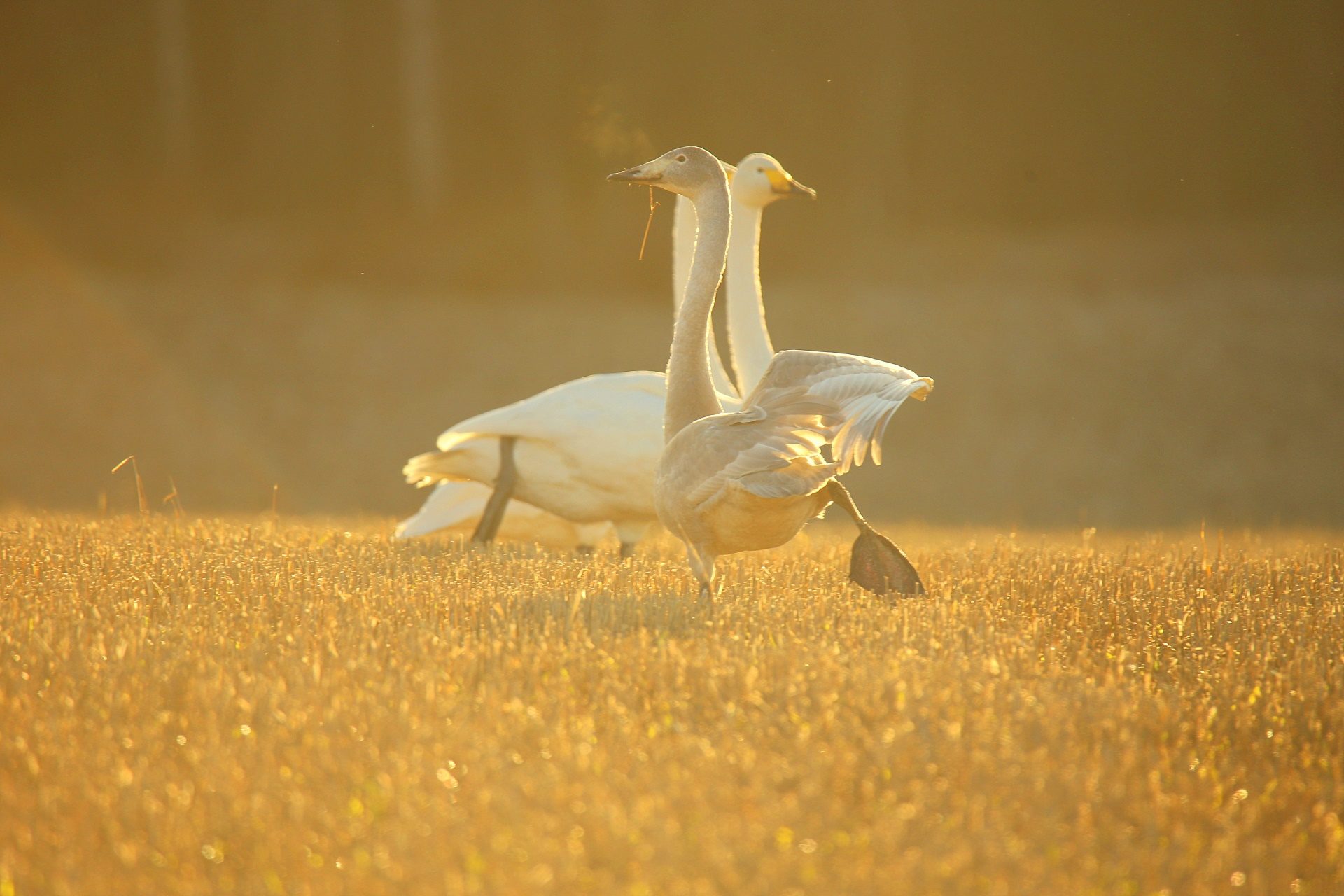Valokuvaaja: sirpa jyske