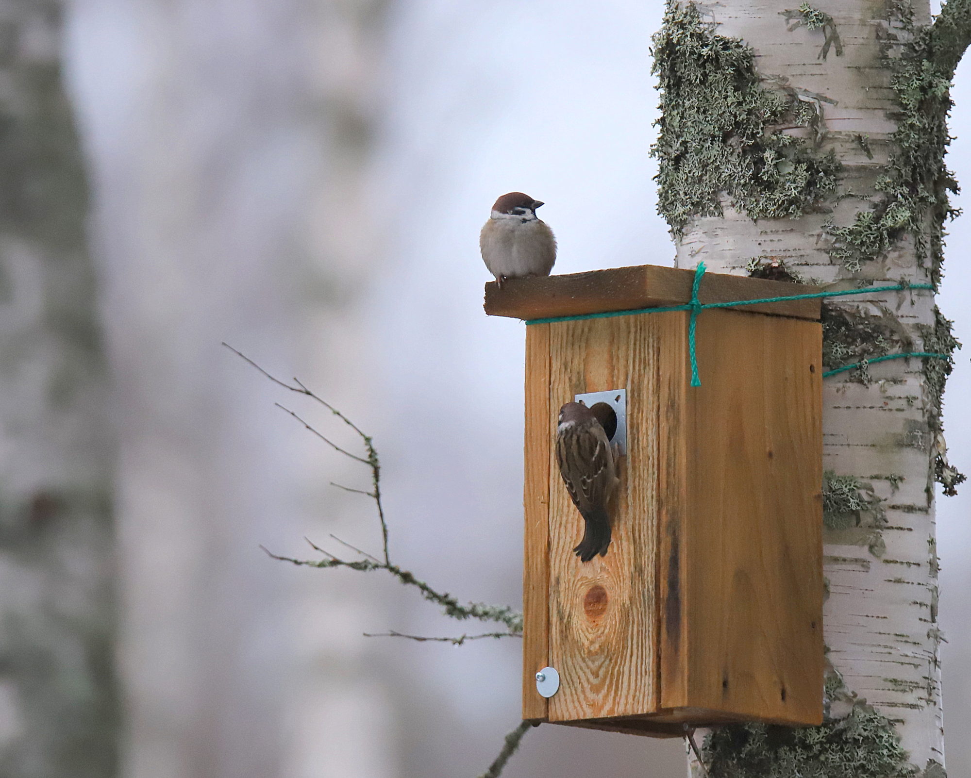 Valokuvaaja: sirpa jyske