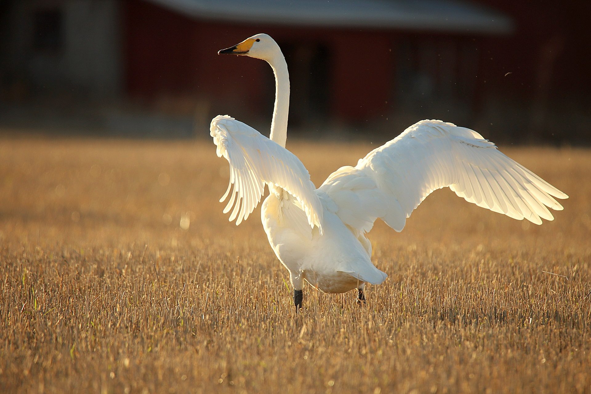 Valokuvaaja: sirpa jyske