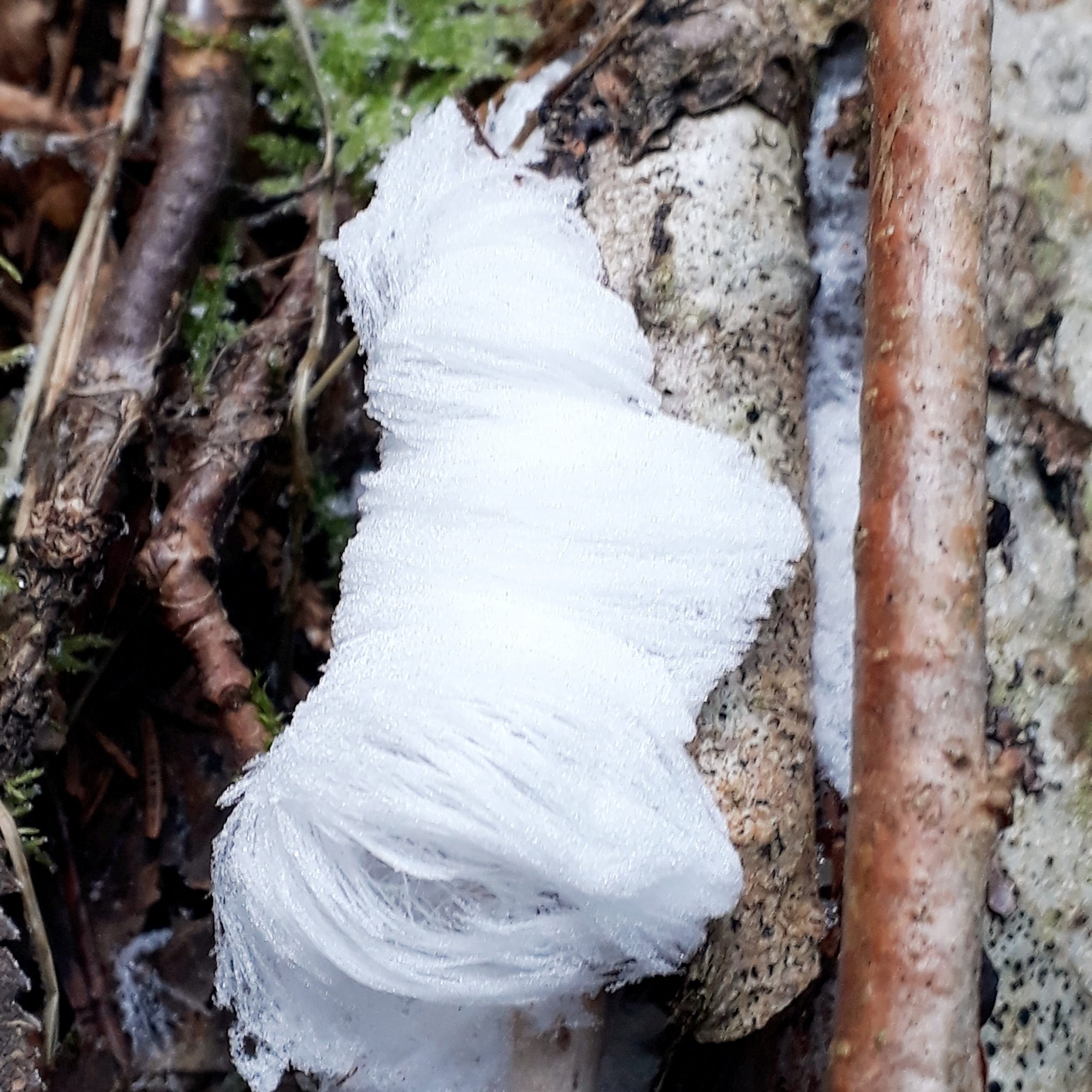 Valokuvaaja: Merja Nurminen