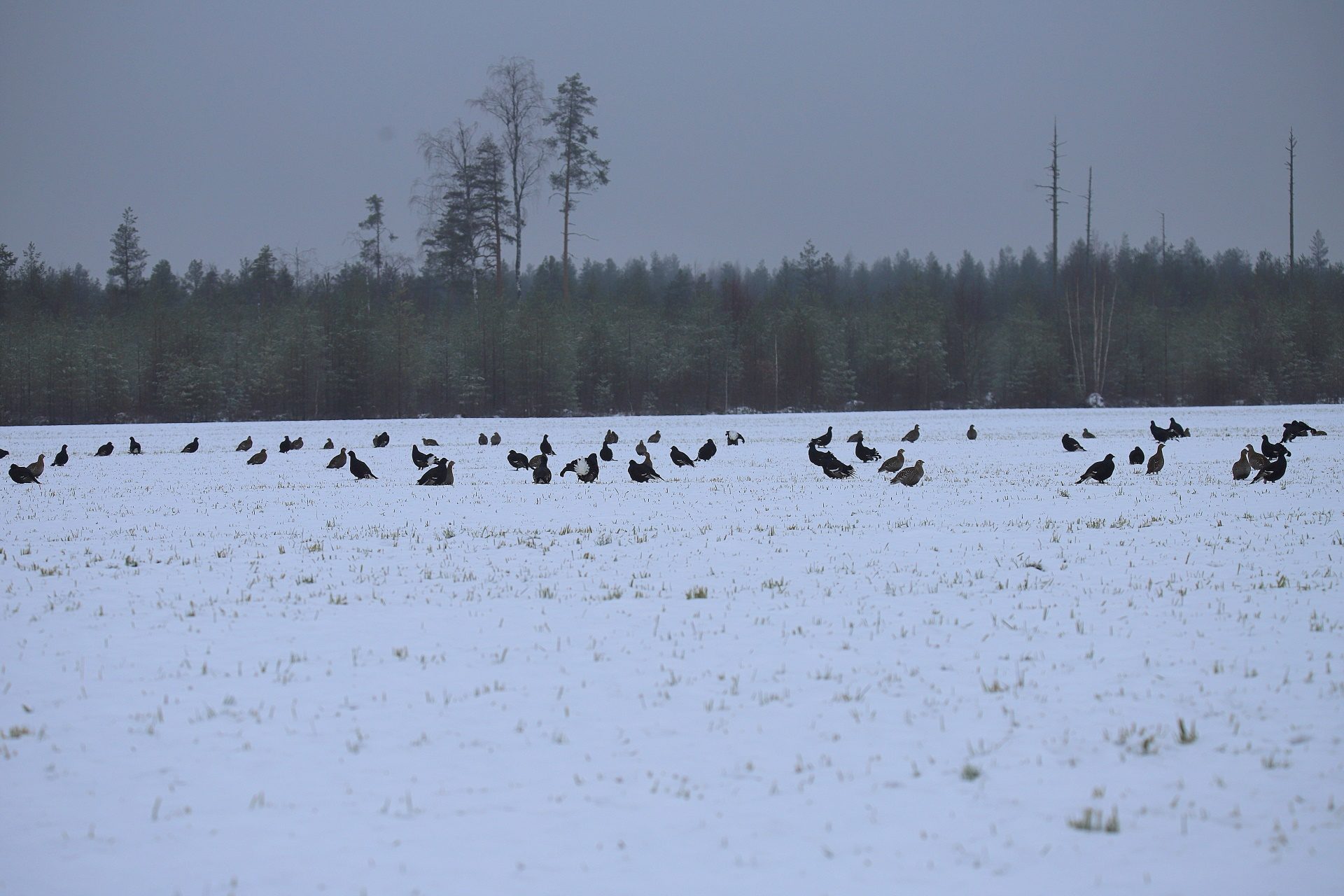 Valokuvaaja: sirpa jyske