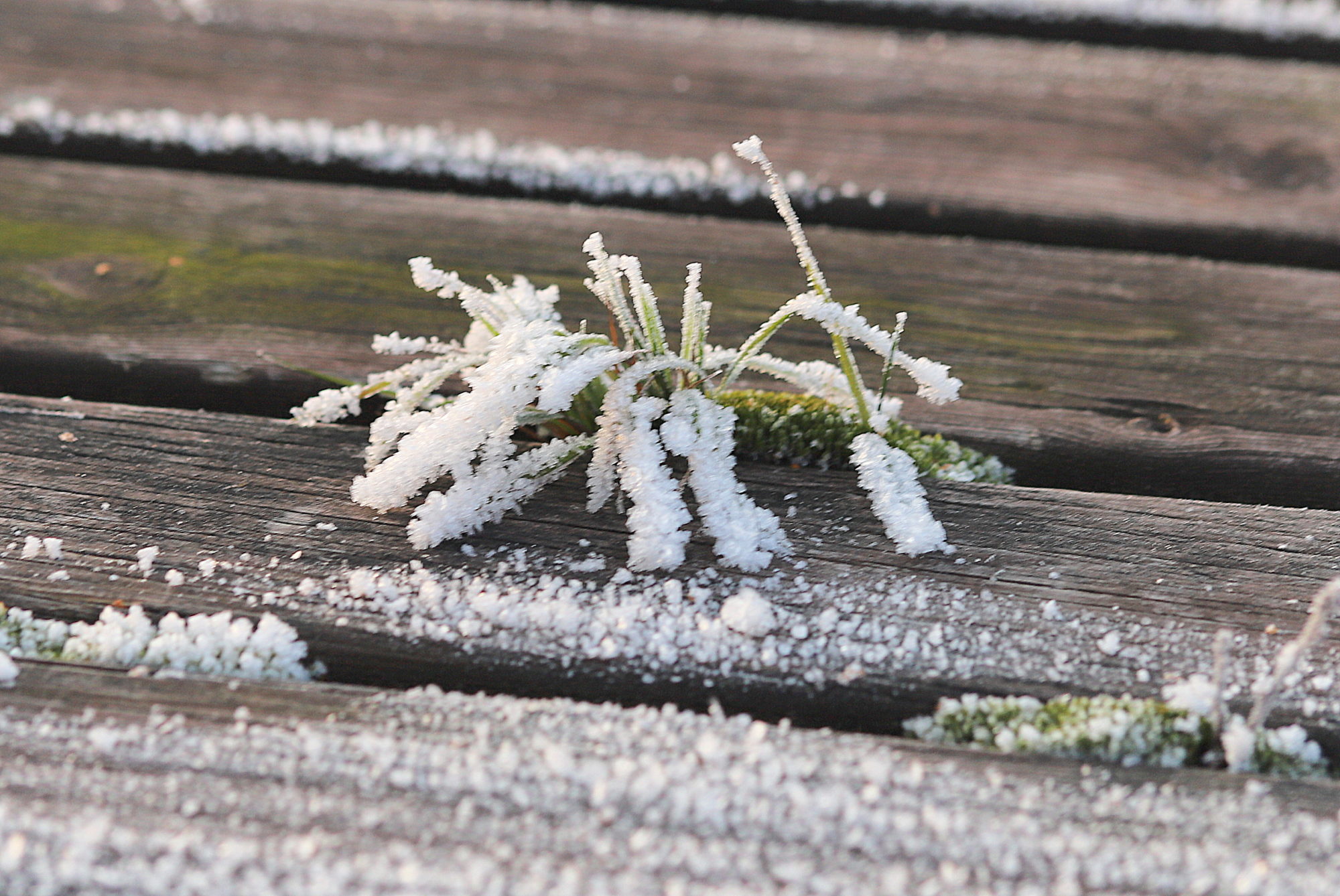 Valokuvaaja: sirpa jyske