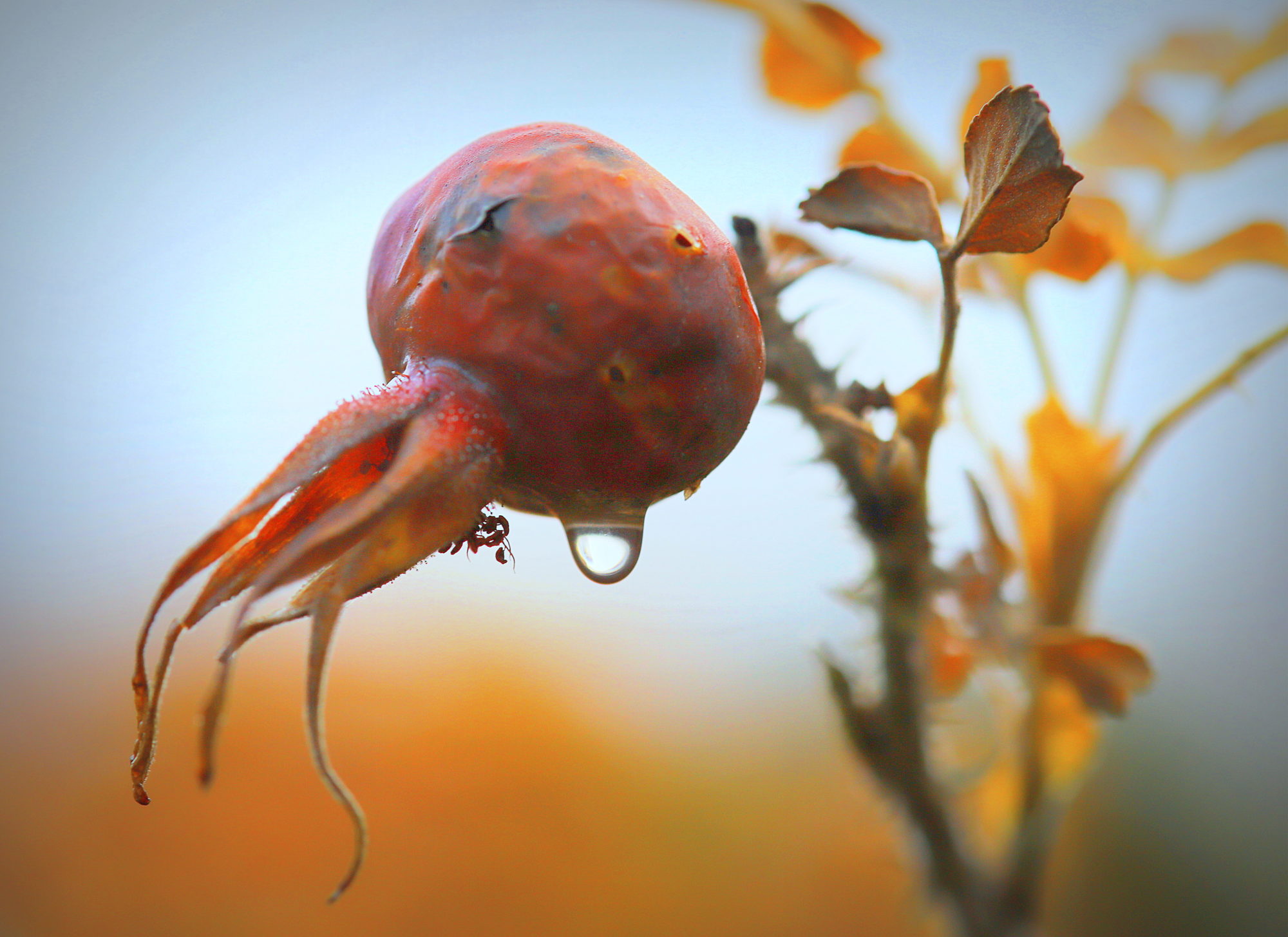 Valokuvaaja: sirpa jyske