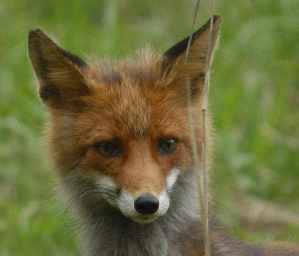 Valokuvaaja: Jouko Varonen