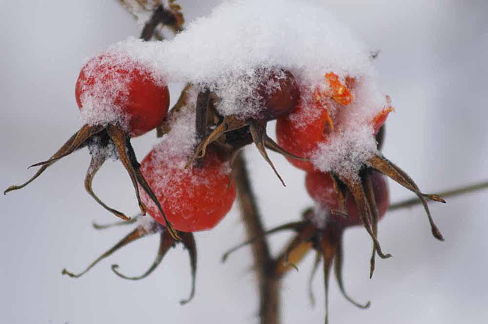 Valokuvaaja: Jouko Varonen