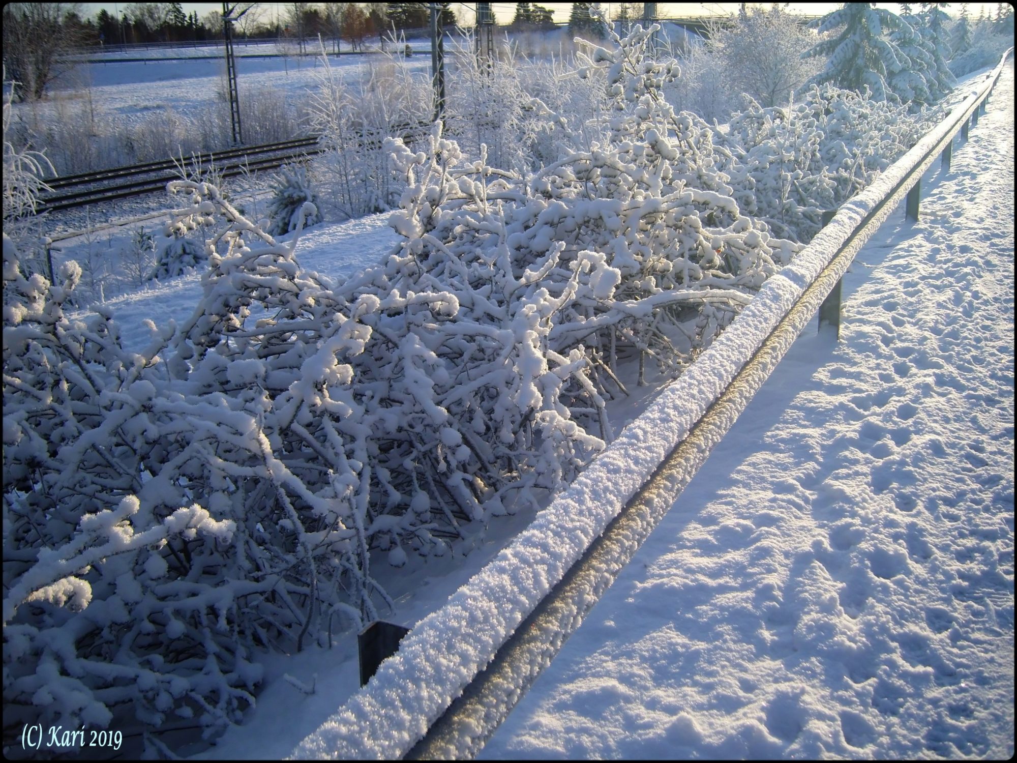 Valokuvaaja: Kari Saarinen