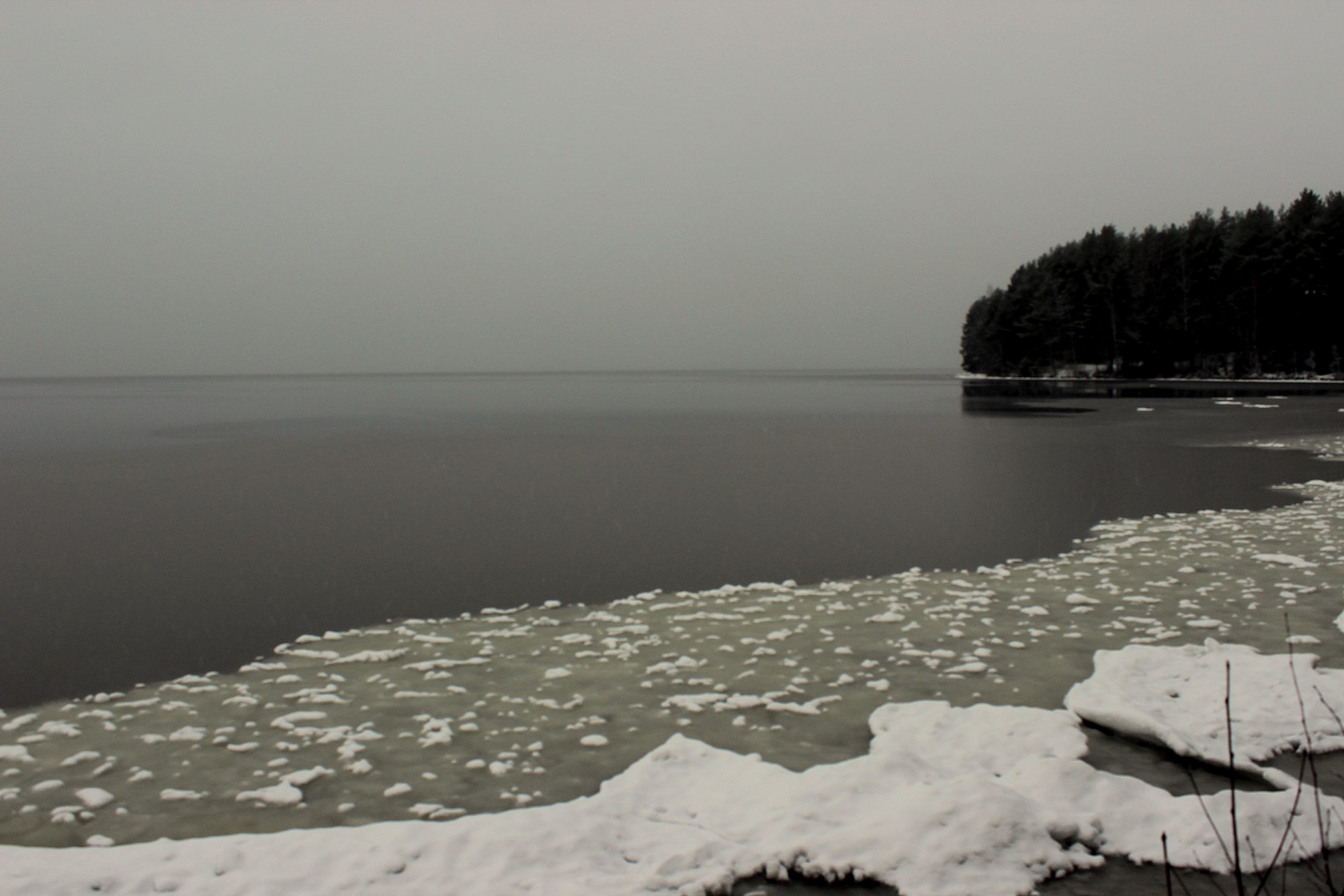Valokuvaaja: Tiina Rautava