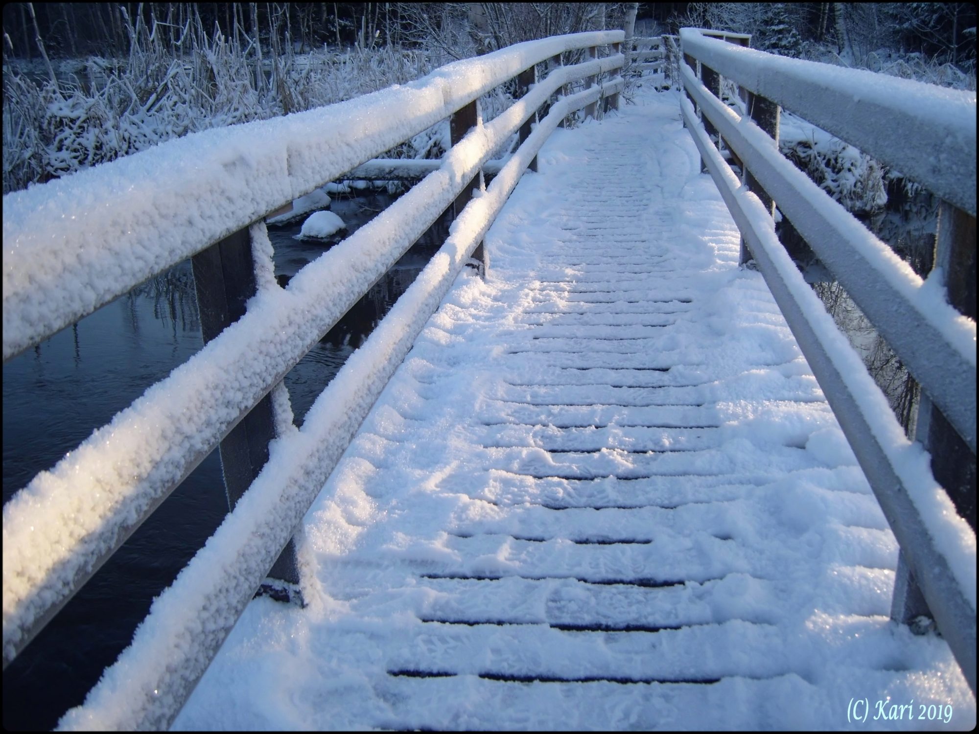 Valokuvaaja: Kari Saarinen