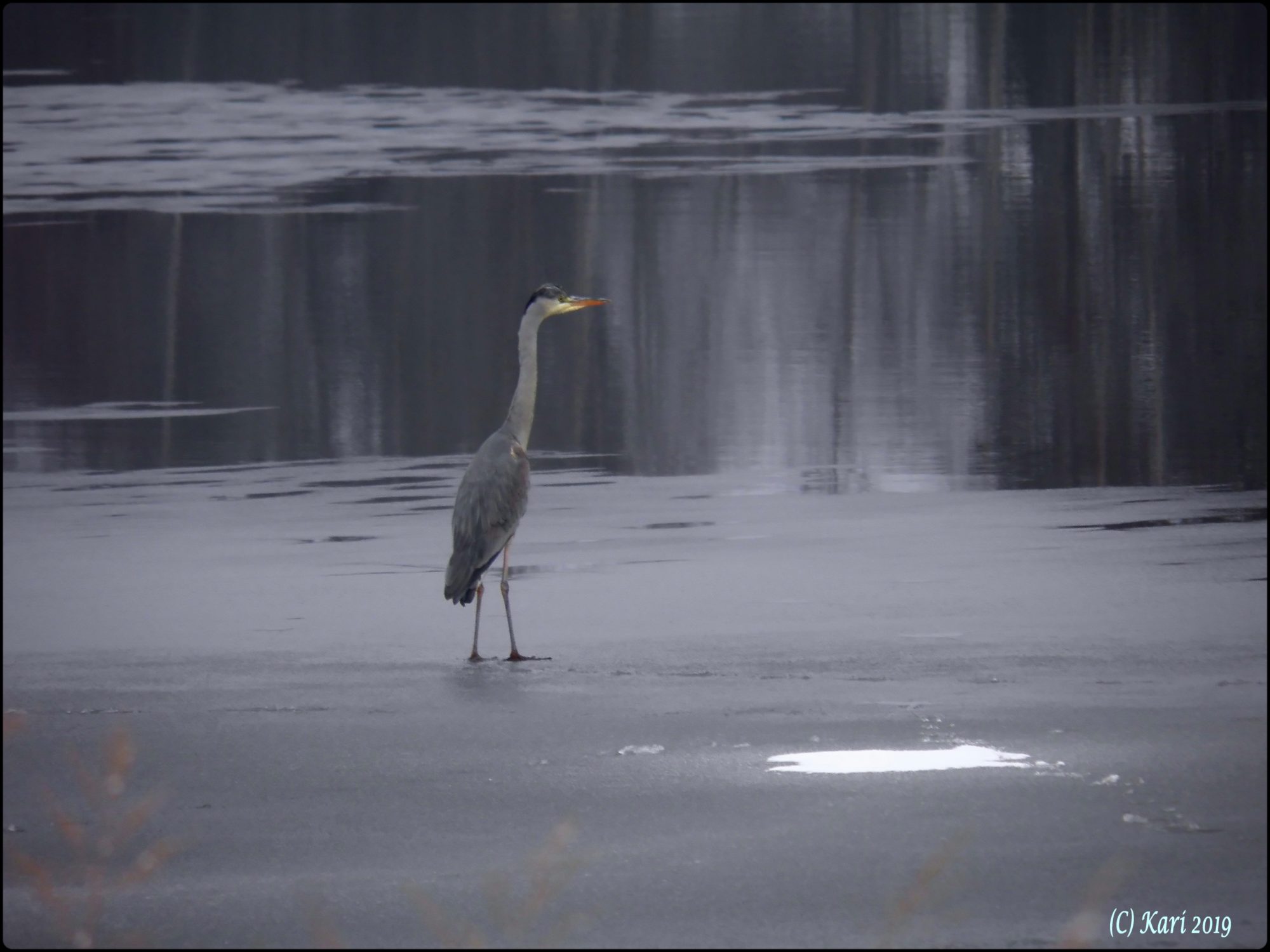 Valokuvaaja: Kari Saarinen
