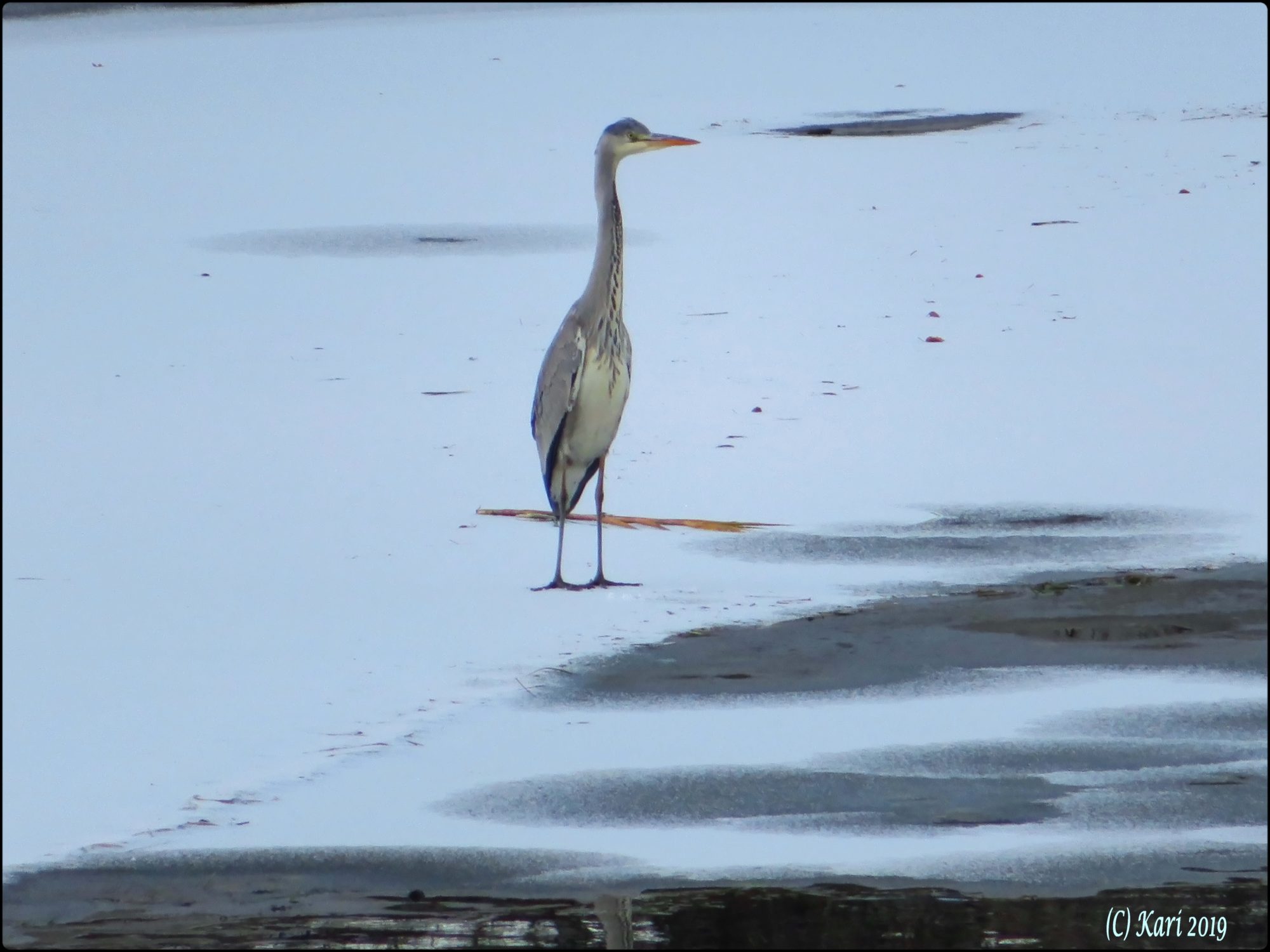 Valokuvaaja: Kari Saarinen