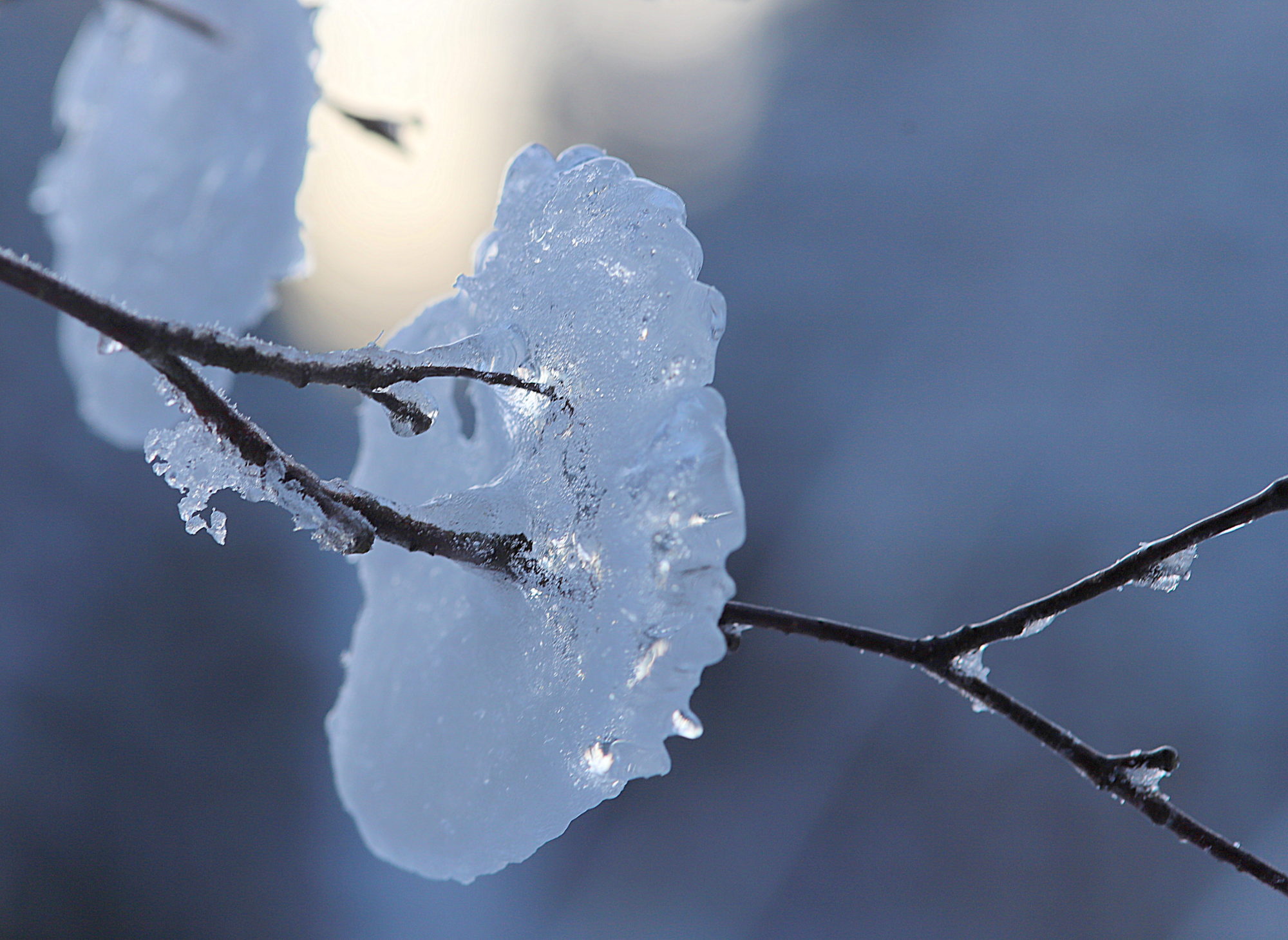 Valokuvaaja: sirpa jyske