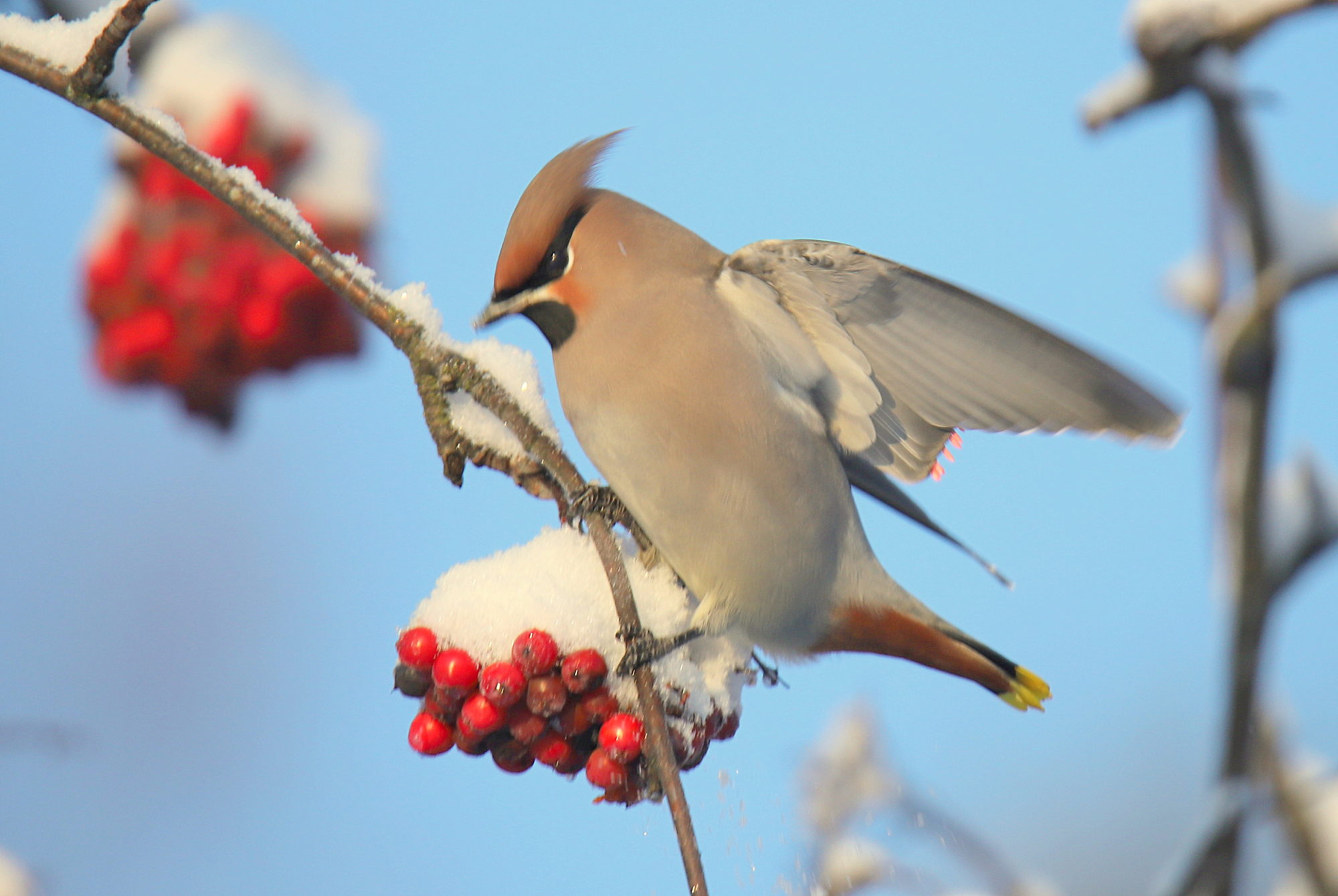 Valokuvaaja: sirpa jyske