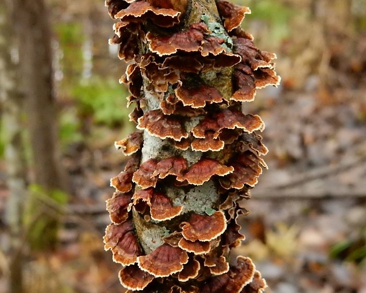 Valokuvaaja: Lasse Aho