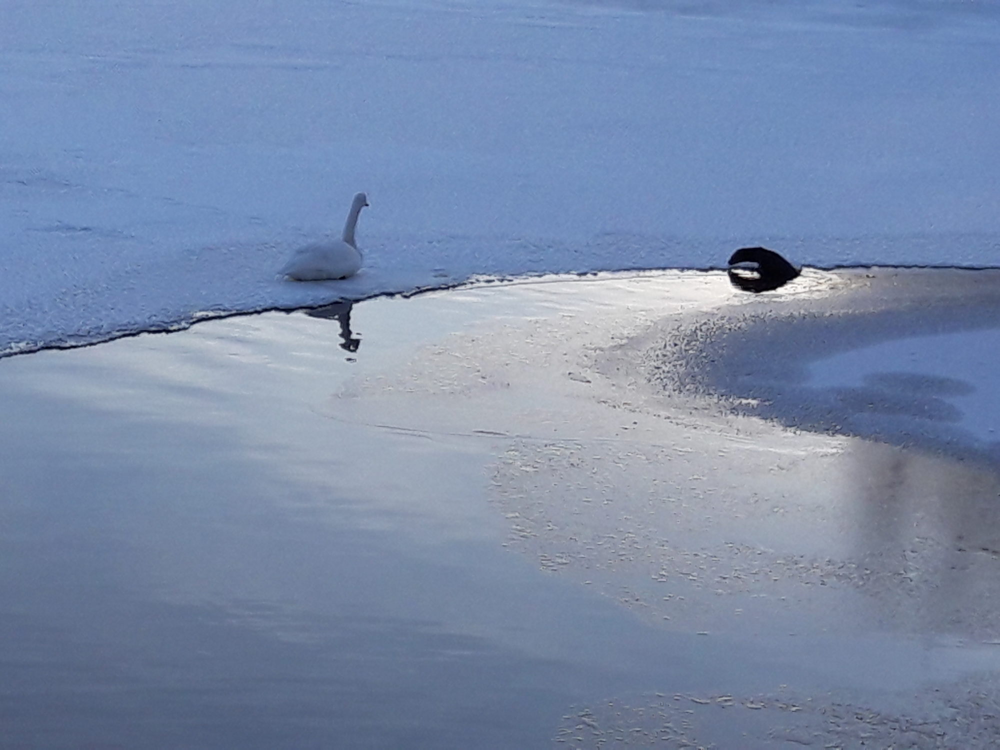 Valokuvaaja: Anneli Lampinen Valokuvaaja: Anneli Lampinen