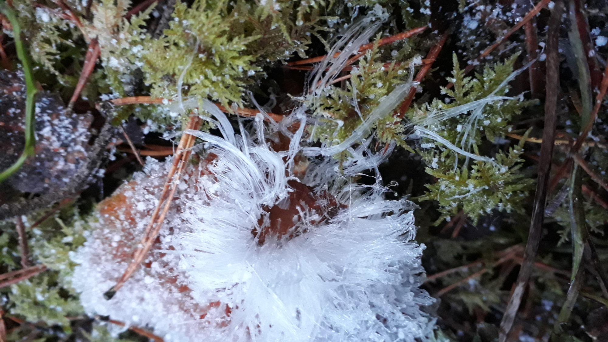 Valokuvaaja: Ulyana Smakova