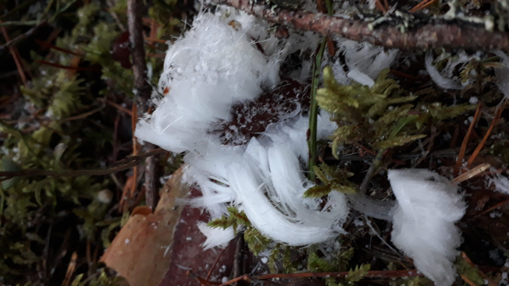 Valokuvaaja: Ulyana Smakova