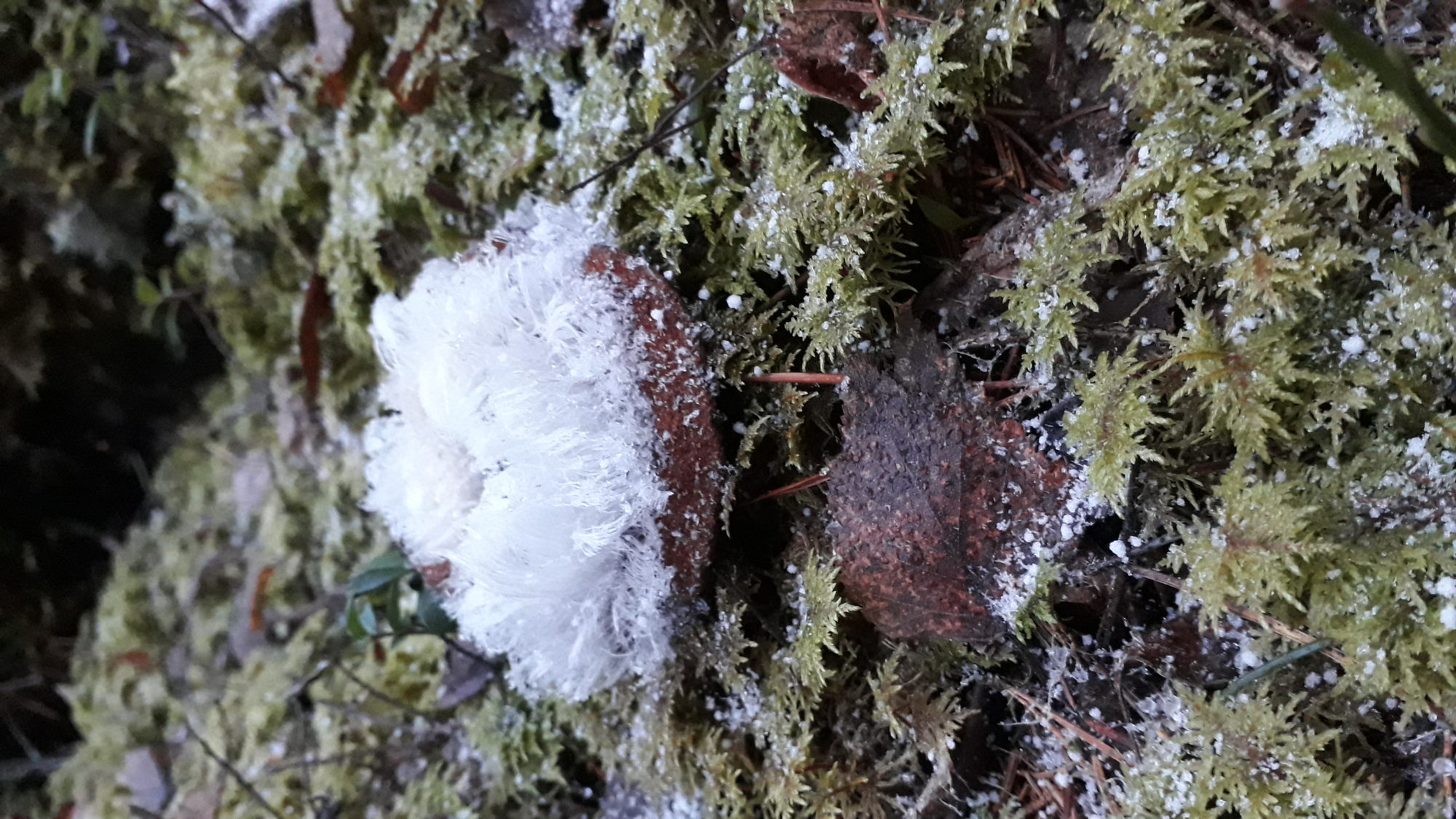 Valokuvaaja: Ulyana Smakova