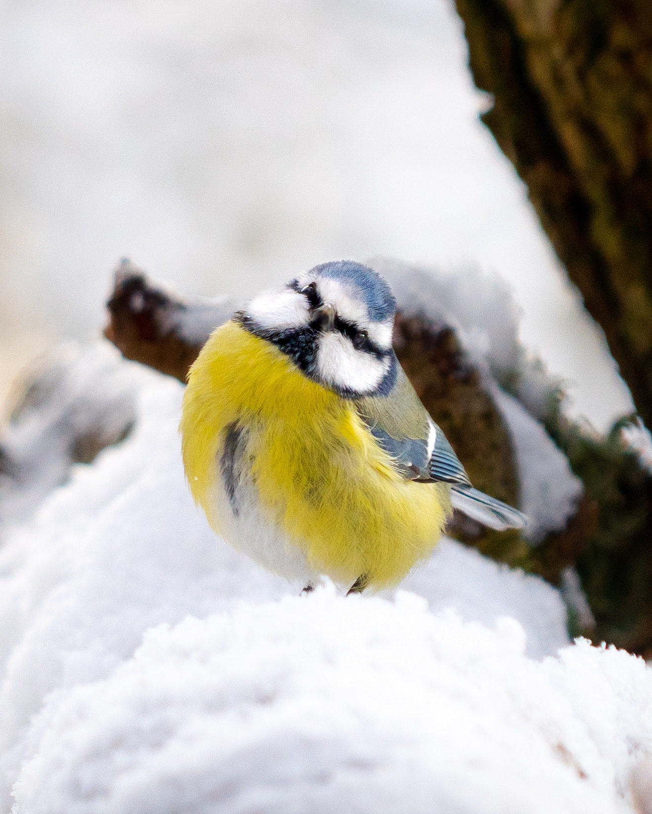 Valokuvaaja: Joni Ilmanen