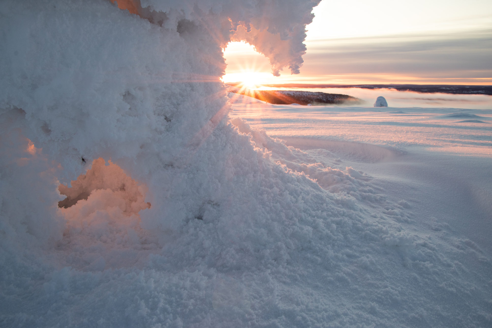 Valokuvaaja: Katri Niskanen Valokuvaaja: Katri Niskanen
