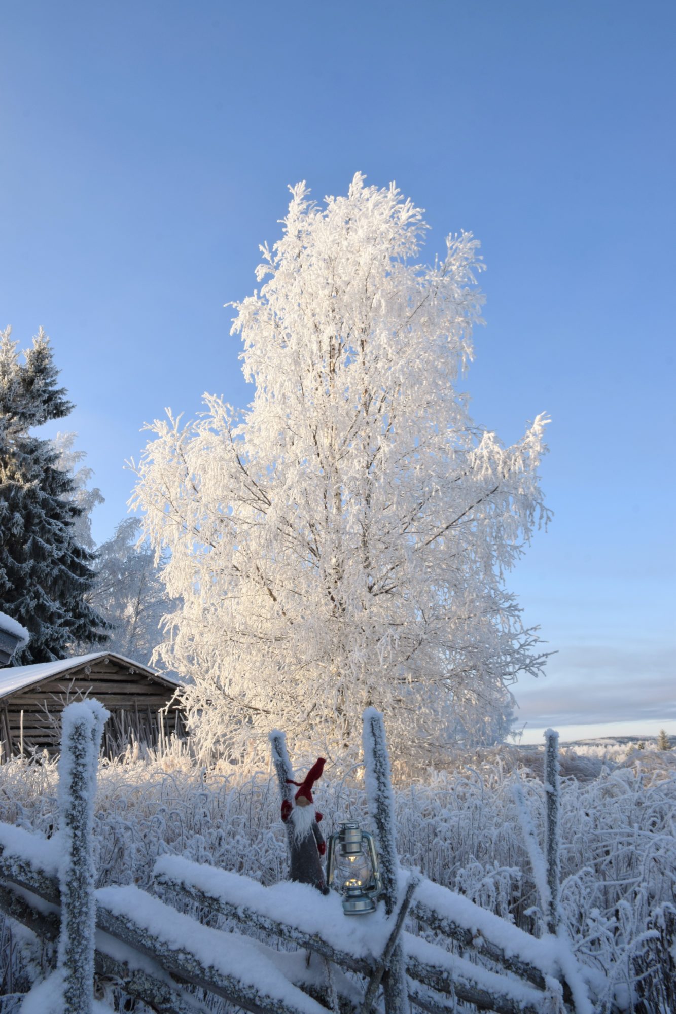 Valokuvaaja: Leena Rissanen