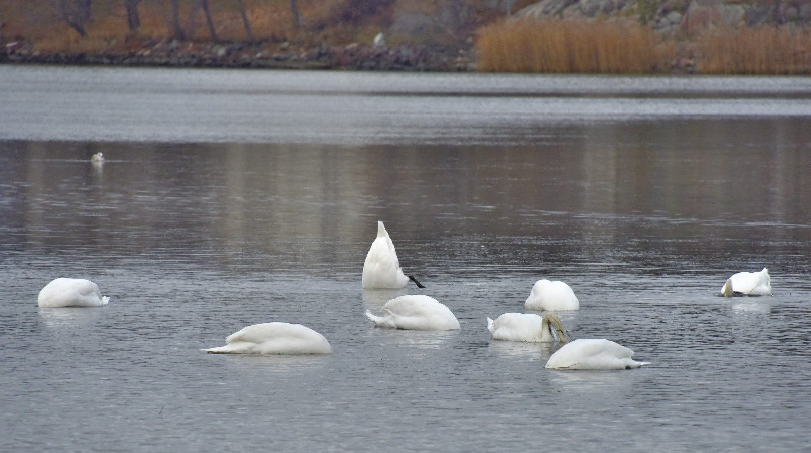 Valokuvaaja: Reijo Juurinen