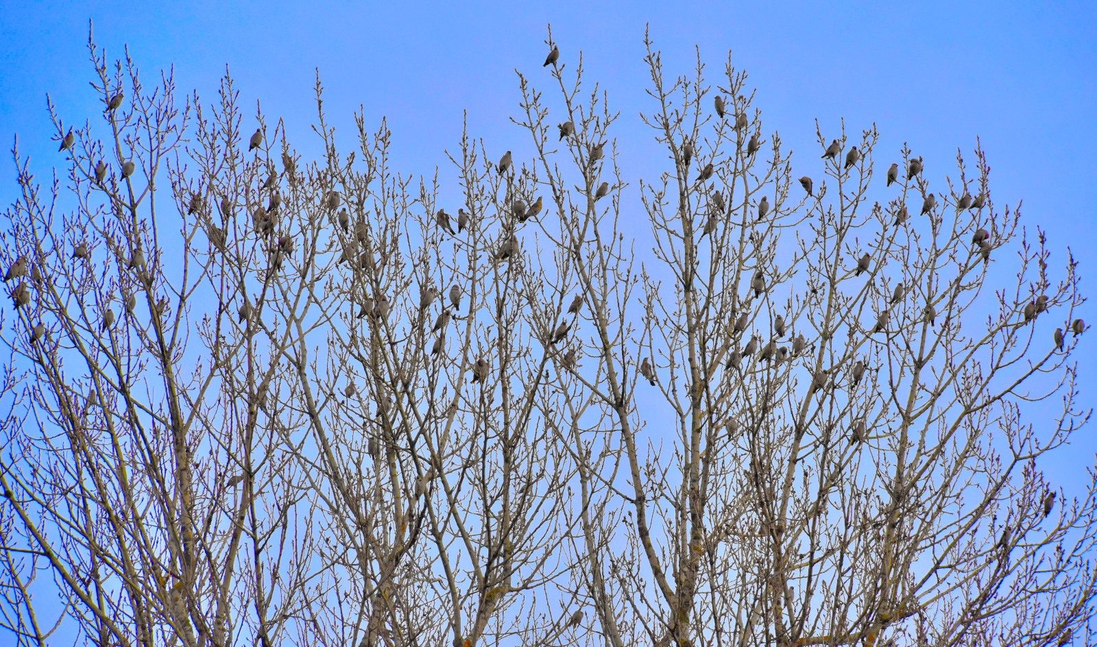 Valokuvaaja: Reijo Juurinen