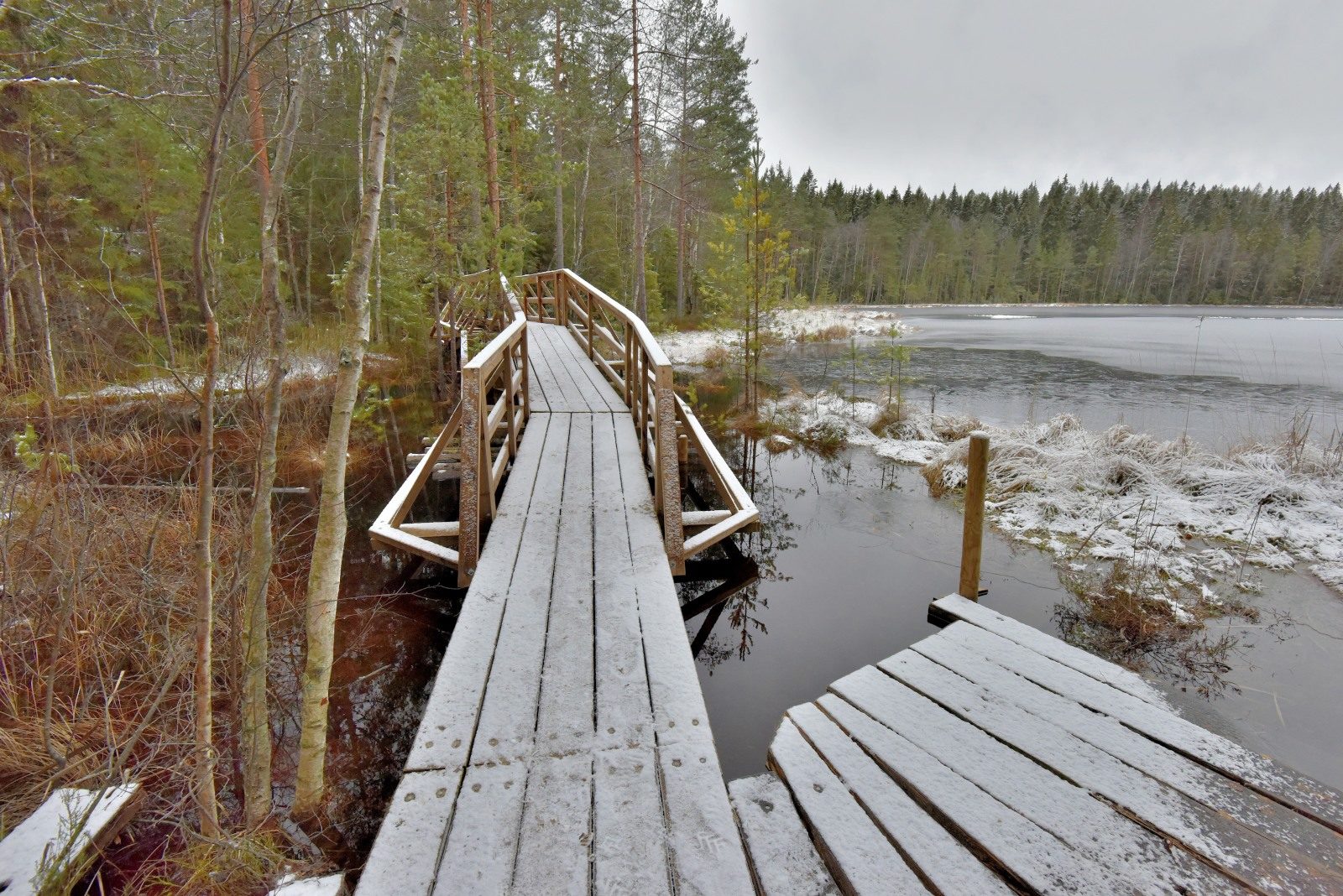 Valokuvaaja: Reijo Juurinen