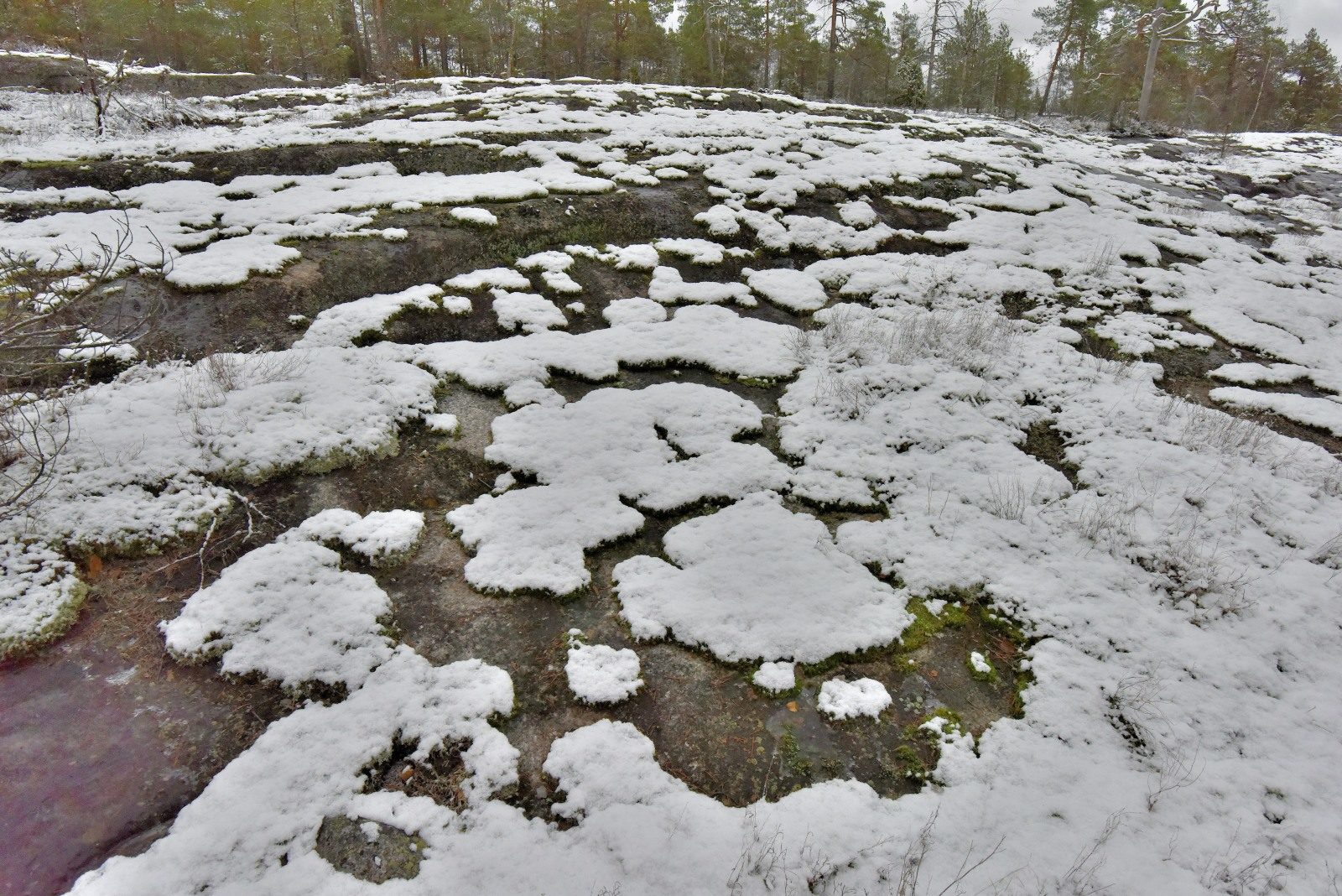 Valokuvaaja: Reijo Juurinen