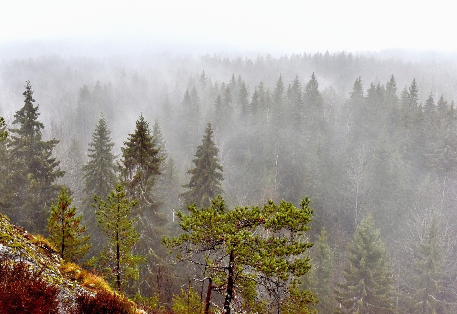 Valokuvaaja: Reijo Juurinen