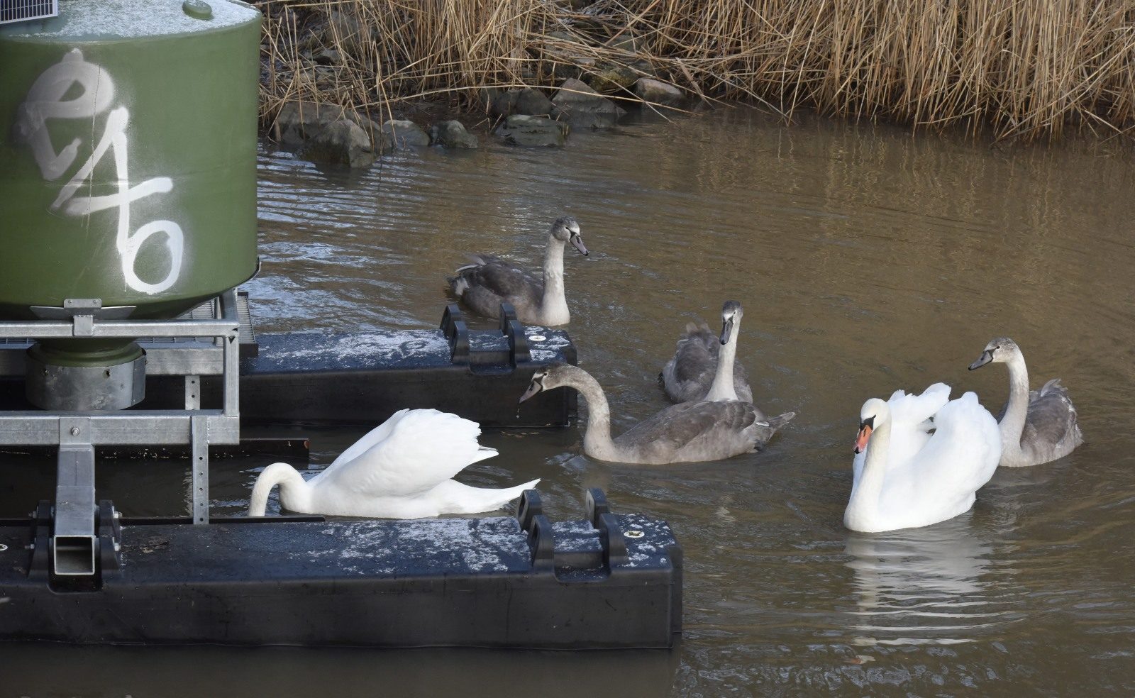 Valokuvaaja: Reijo Juurinen