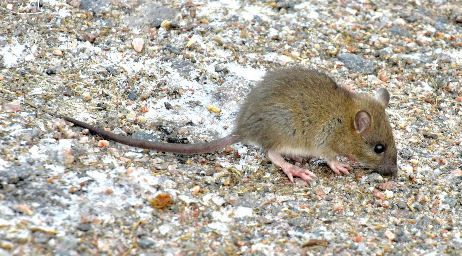 Valokuvaaja: Reijo Juurinen