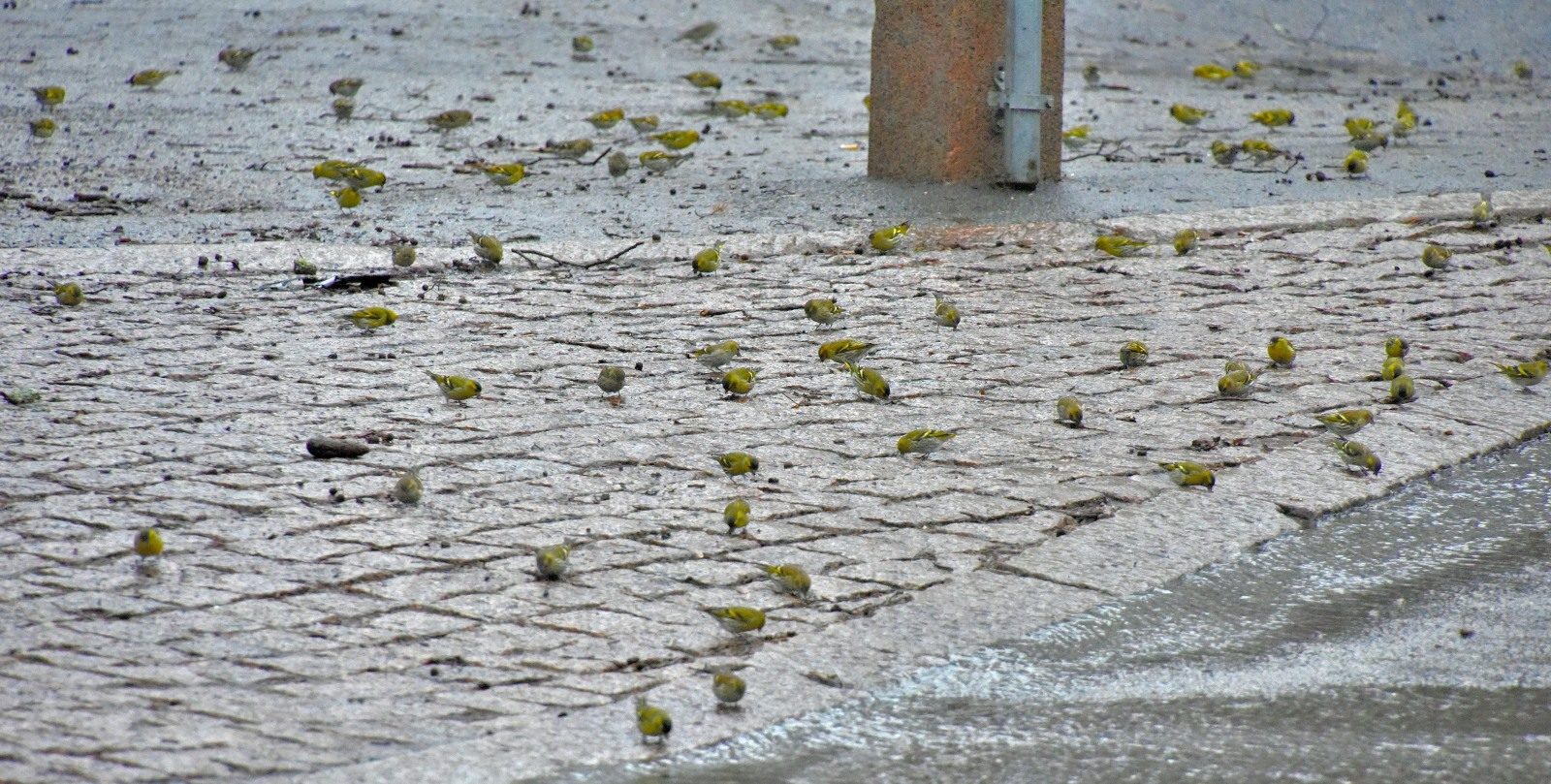 Valokuvaaja: Reijo Juurinen